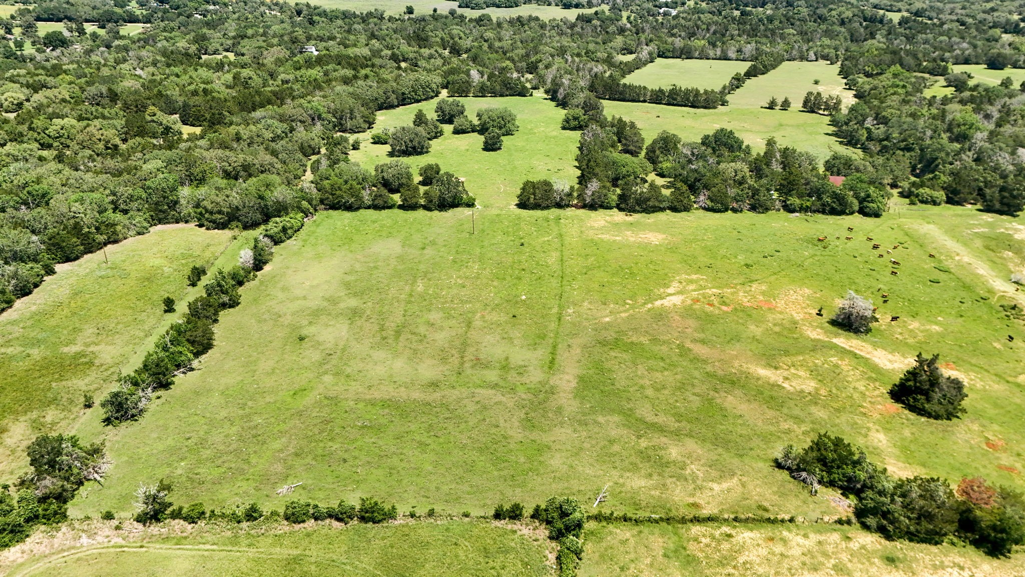 Tbd Ehlinger Road Property Photo 5