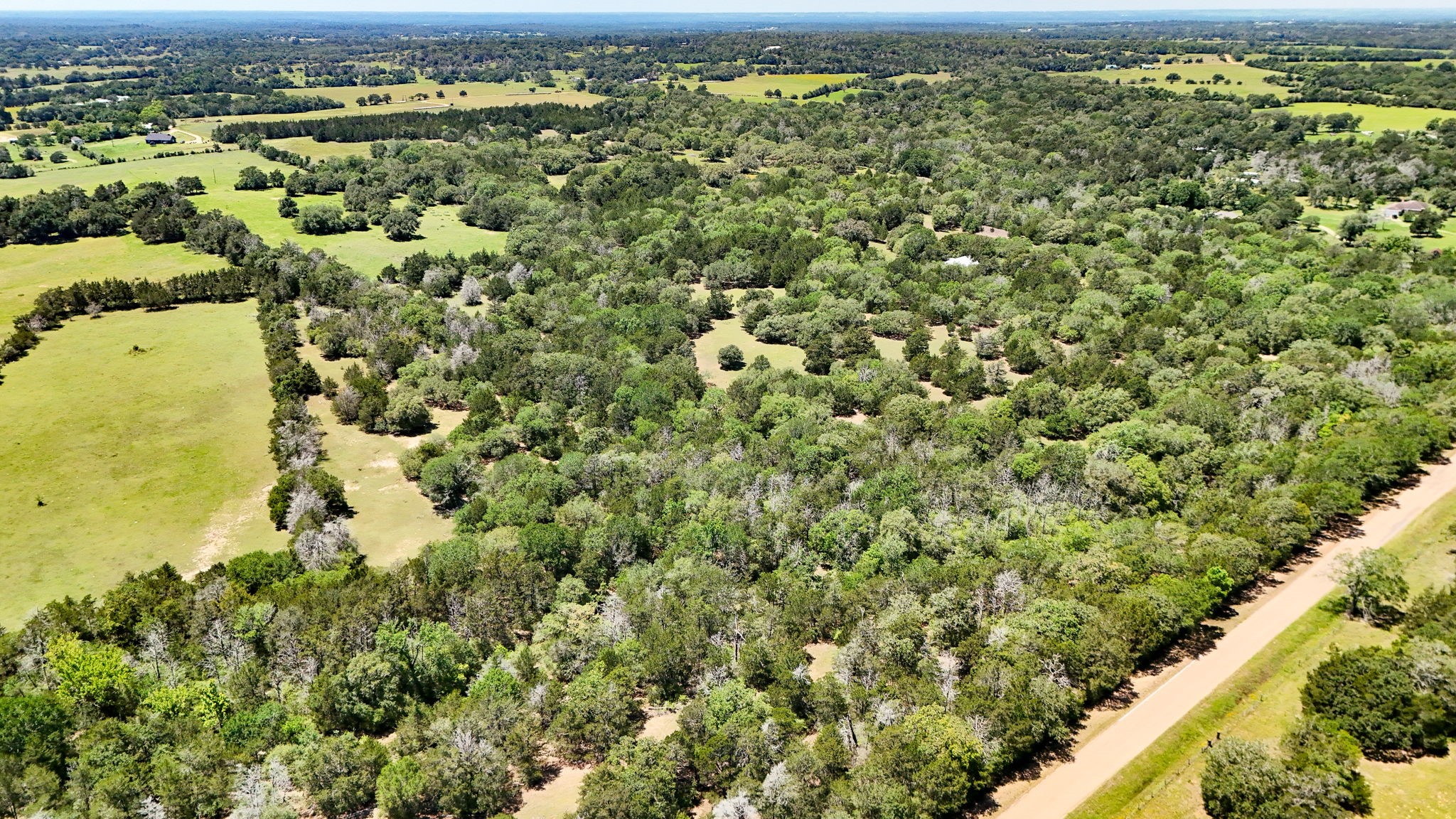 Tbd Ehlinger Road Property Photo 6
