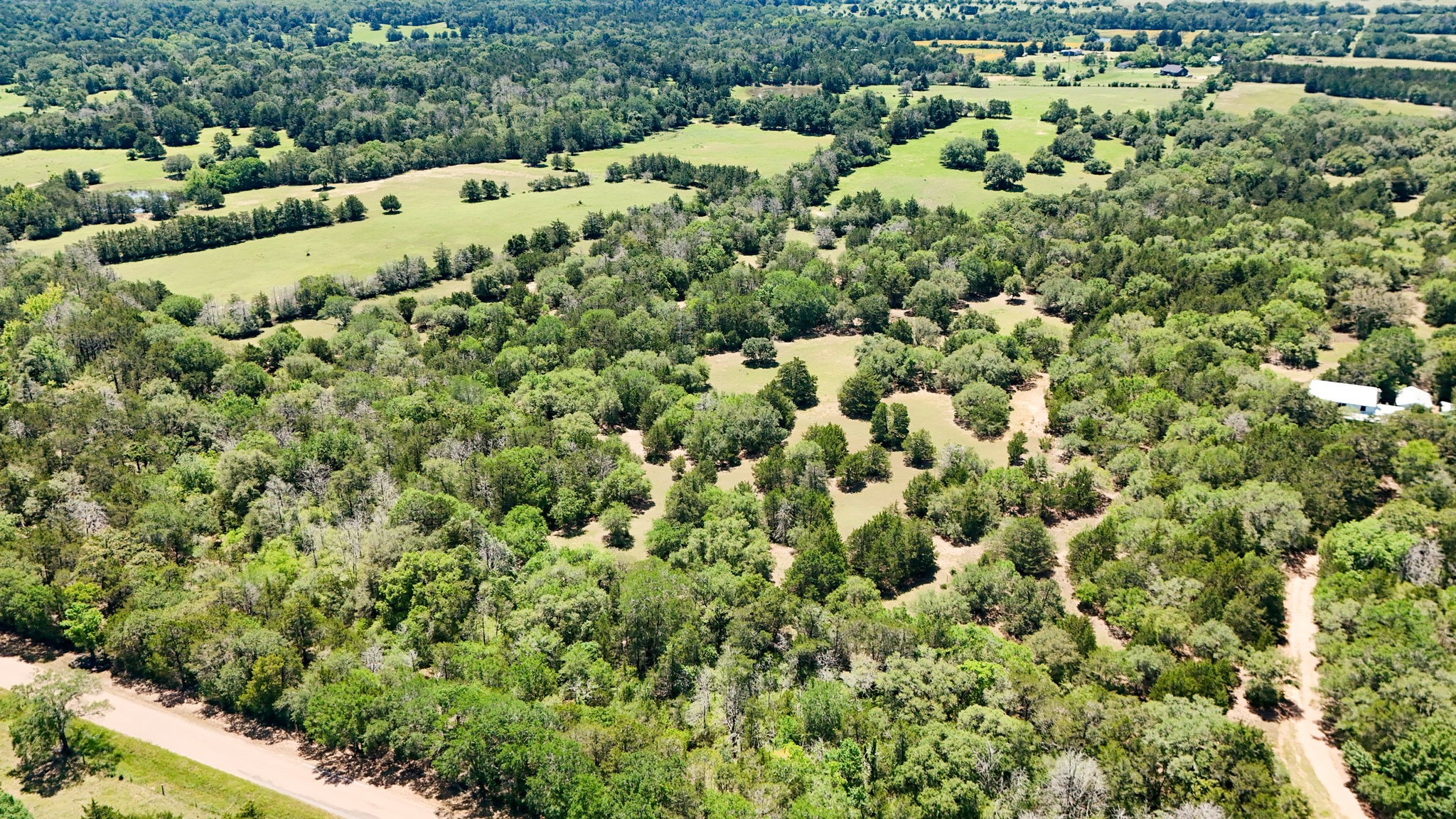 Tbd Ehlinger Road Property Photo 7