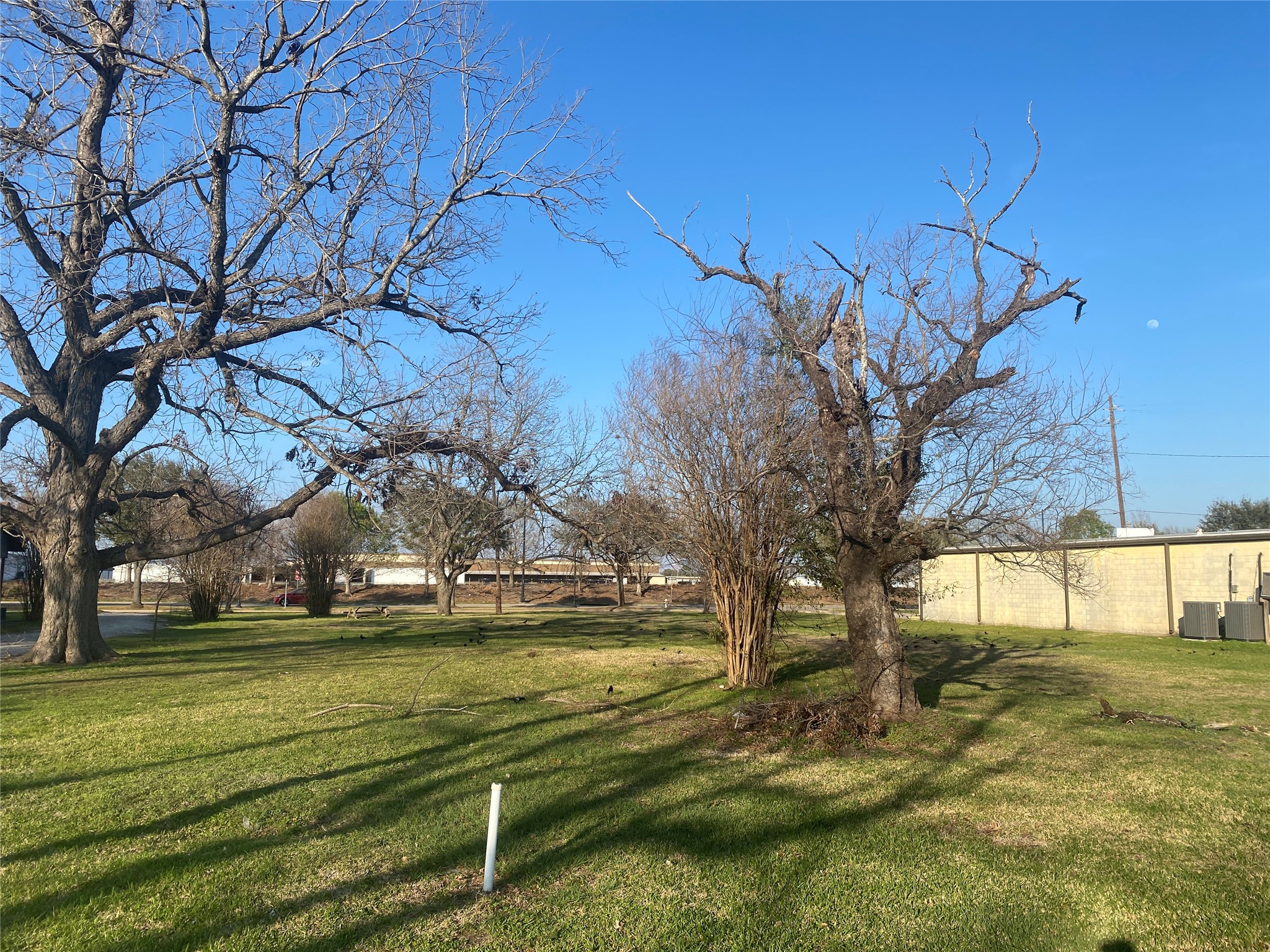3015 N Main Street Property Photo 7