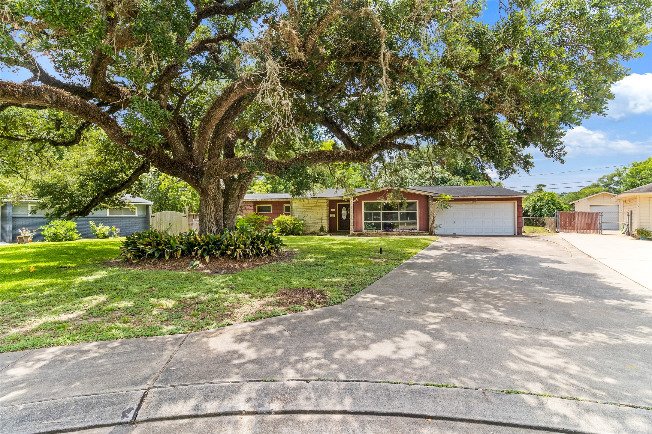 206 Jonquil
