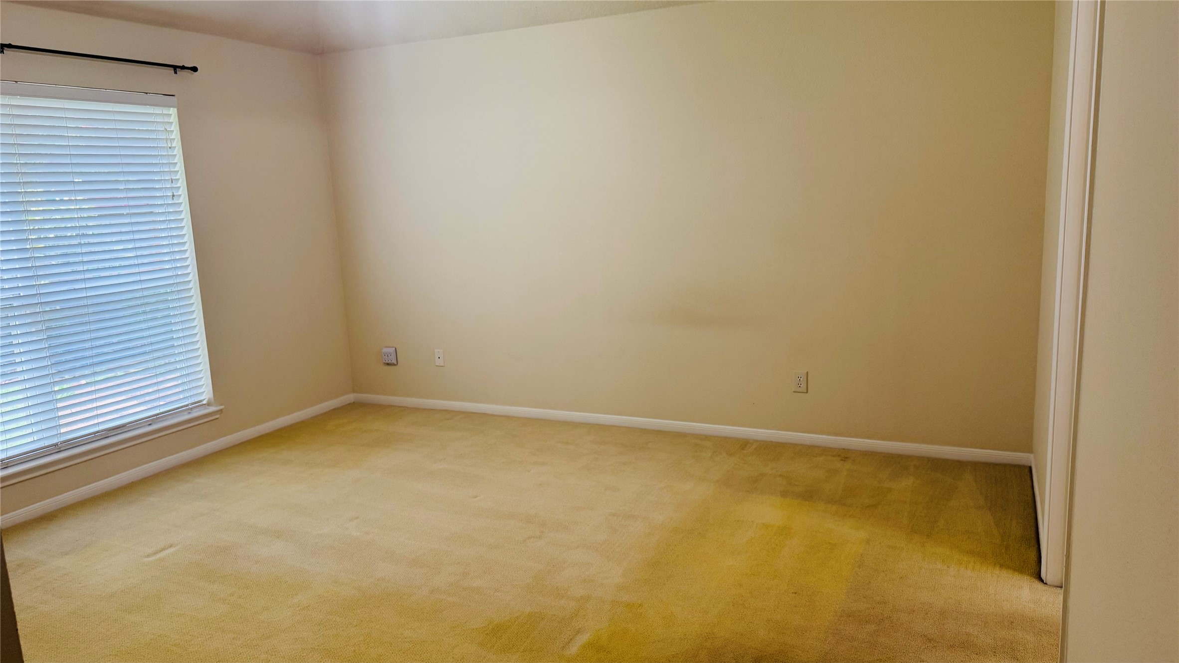 5808 Forest Timbers Drive Property Photo 16