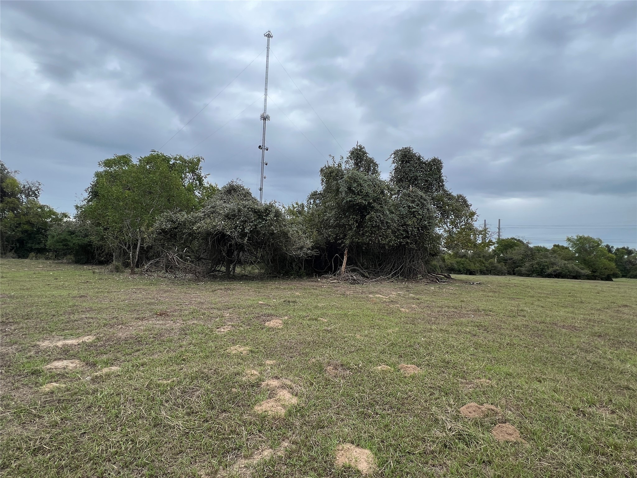 Lot #9 & #10 County Road 166 Property Photo