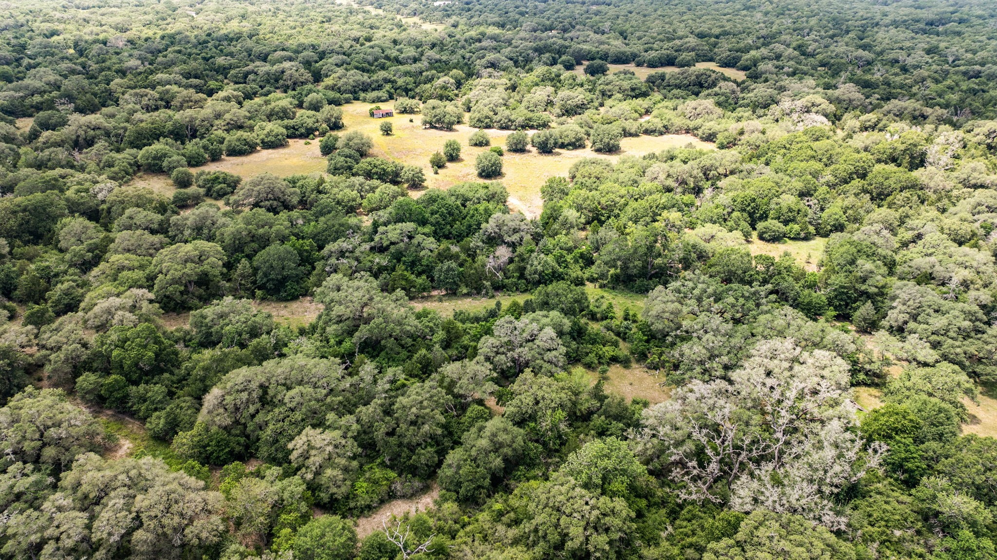 Tbd Cr 215 Property Photo 2