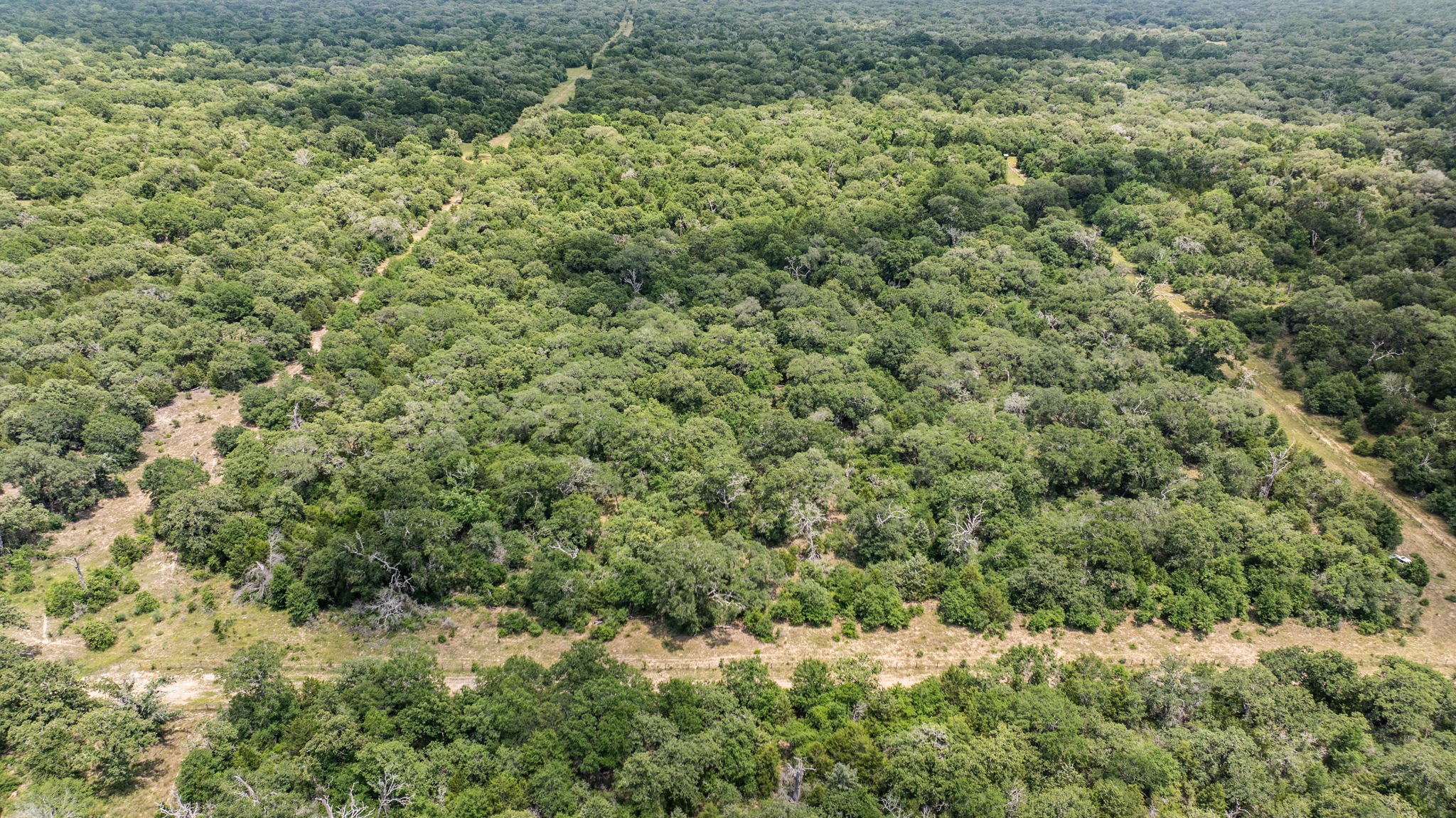 Tbd Cr 215 Property Photo 3