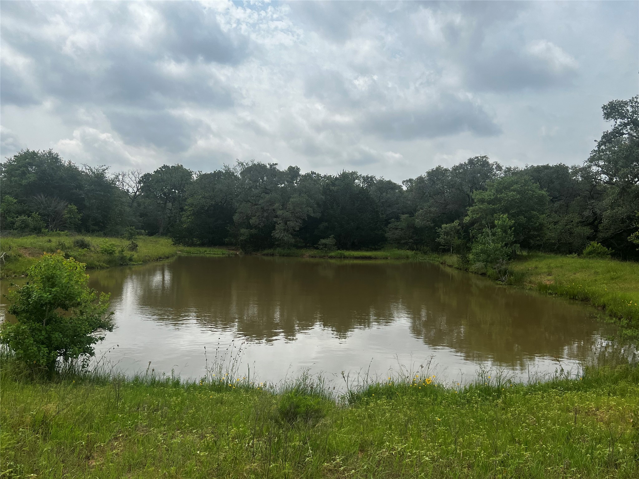 Tbd Cr 215 Property Photo 7