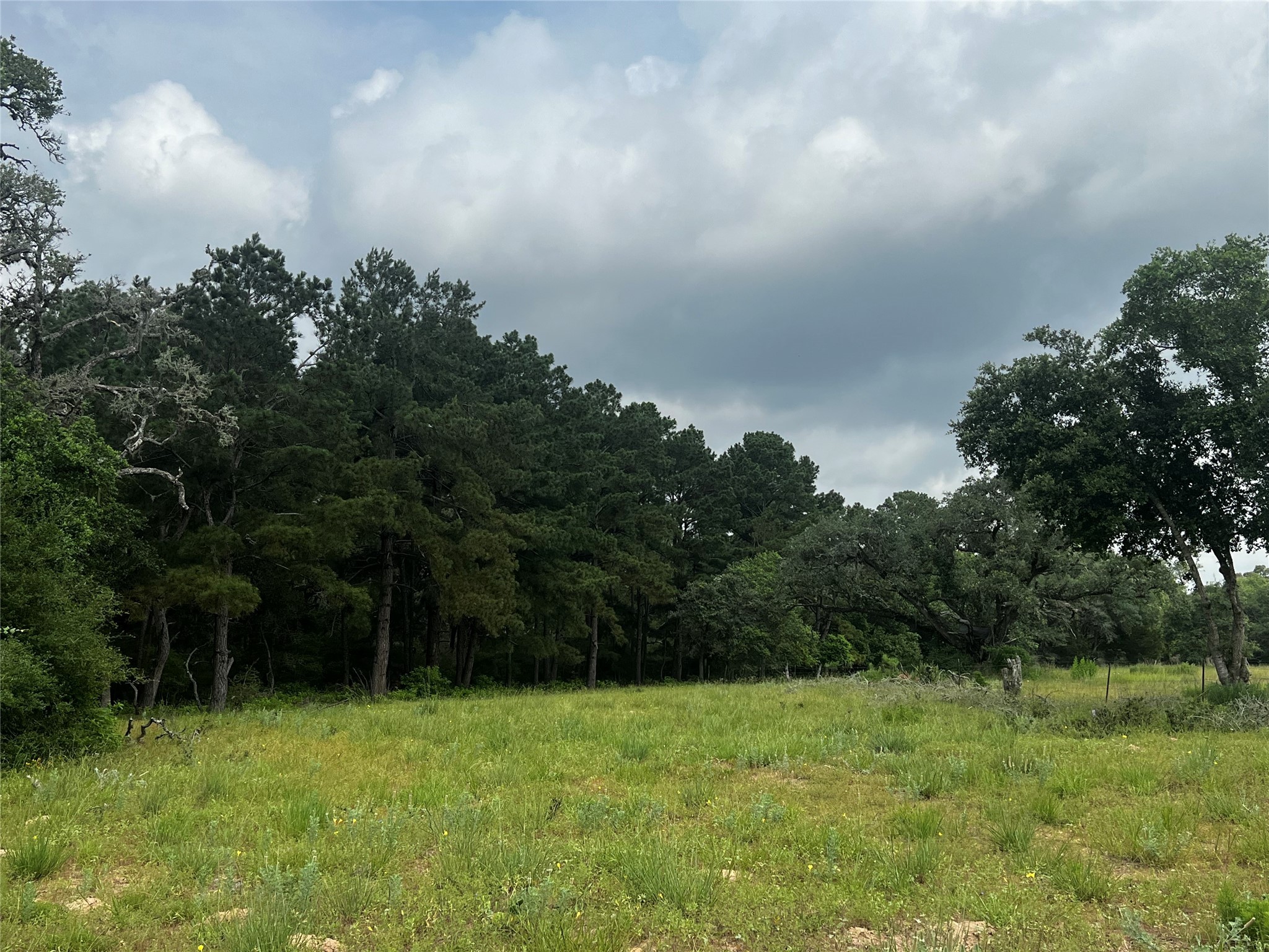 Tbd Cr 215 Property Photo 8