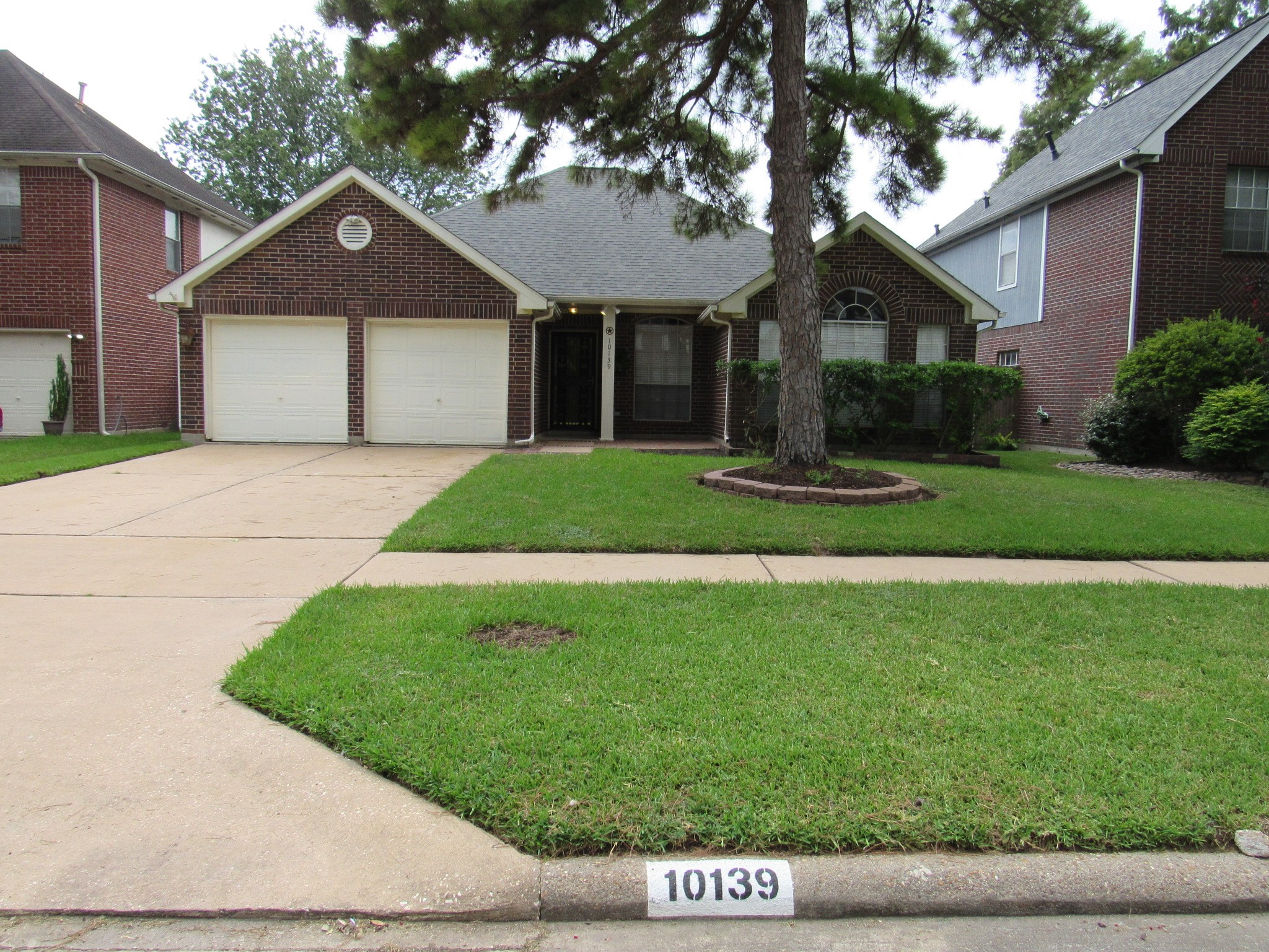 10139 Cedaredge Drive Property Photo 1