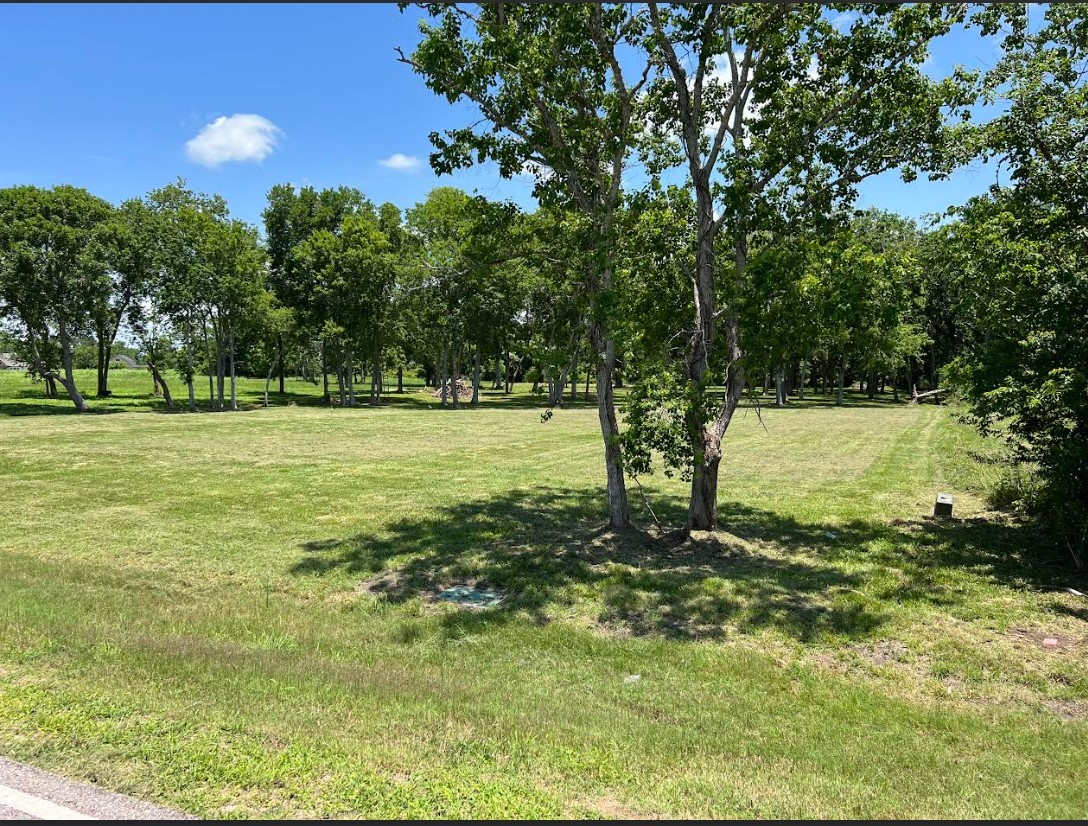 22911 Sugar Mill Court Property Photo 1