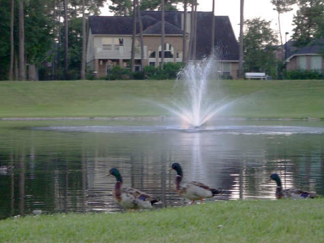 25602 Oak Churn Place Property Photo 45