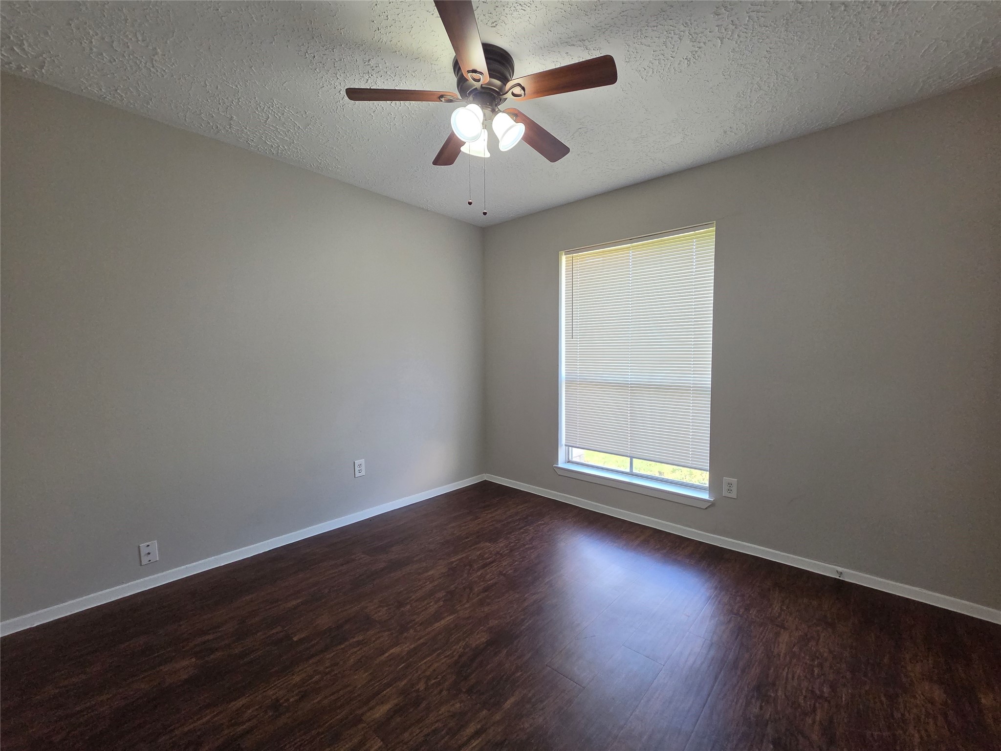14210 Galvani Drive Property Photo 13