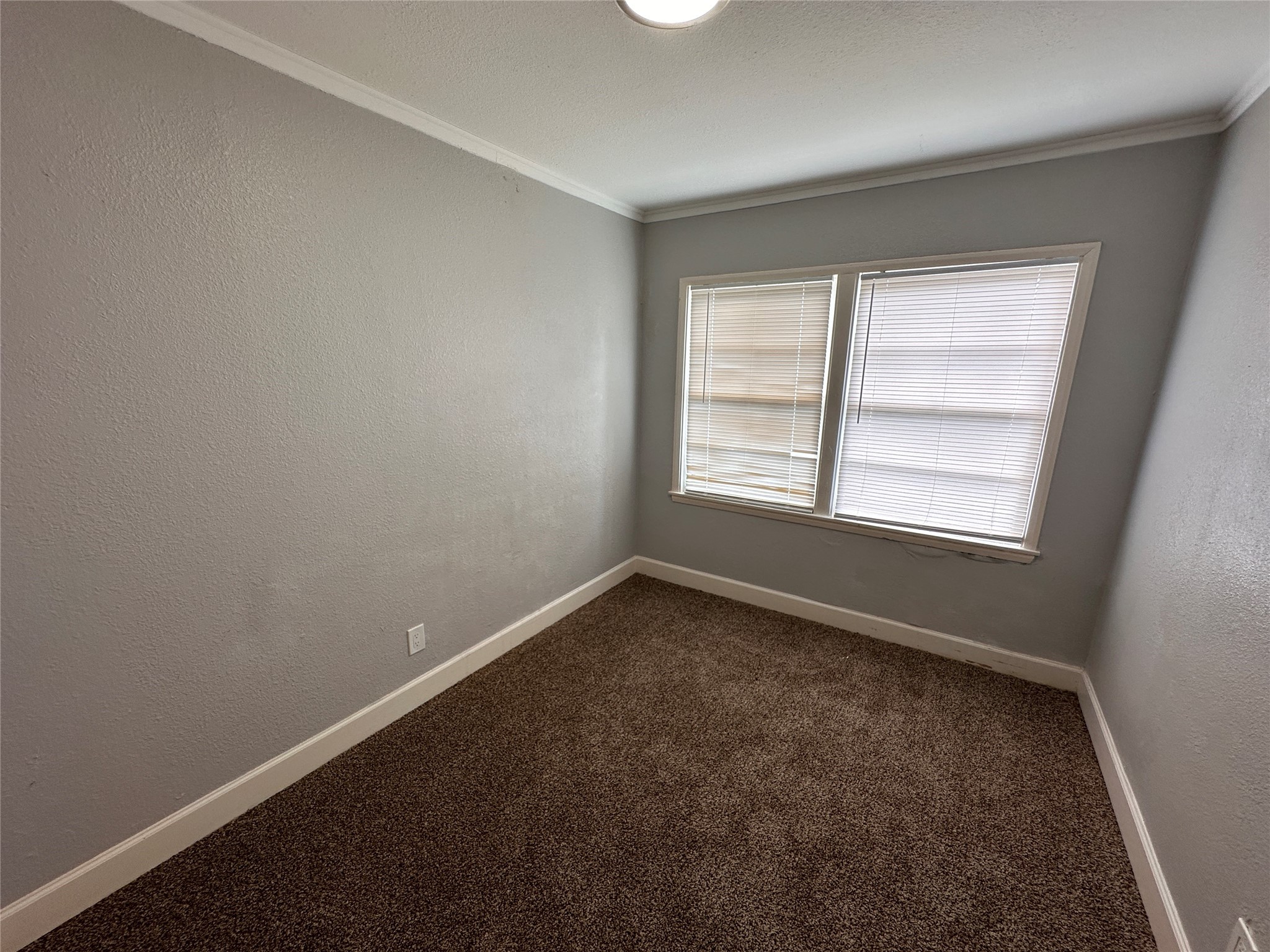1730 W 8th Street Property Photo 13