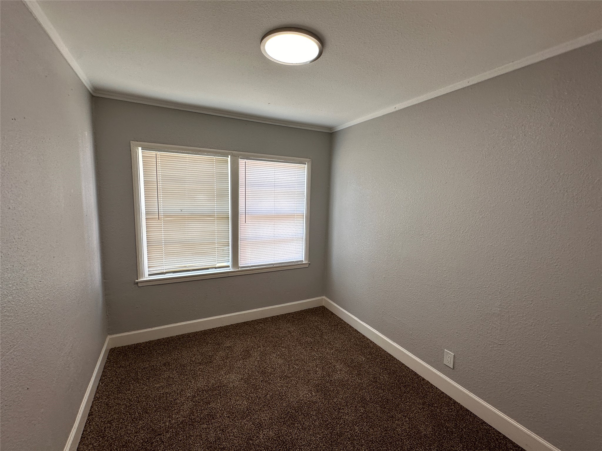 1730 W 8th Street Property Photo 20