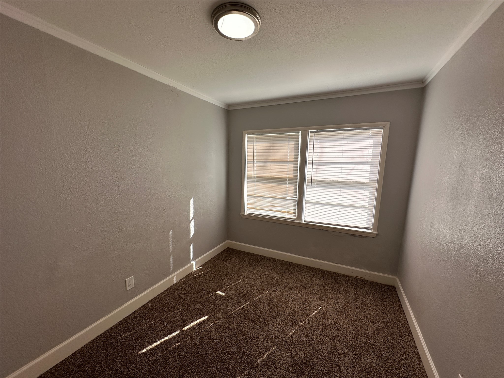 1730 W 8th Street Property Photo 21