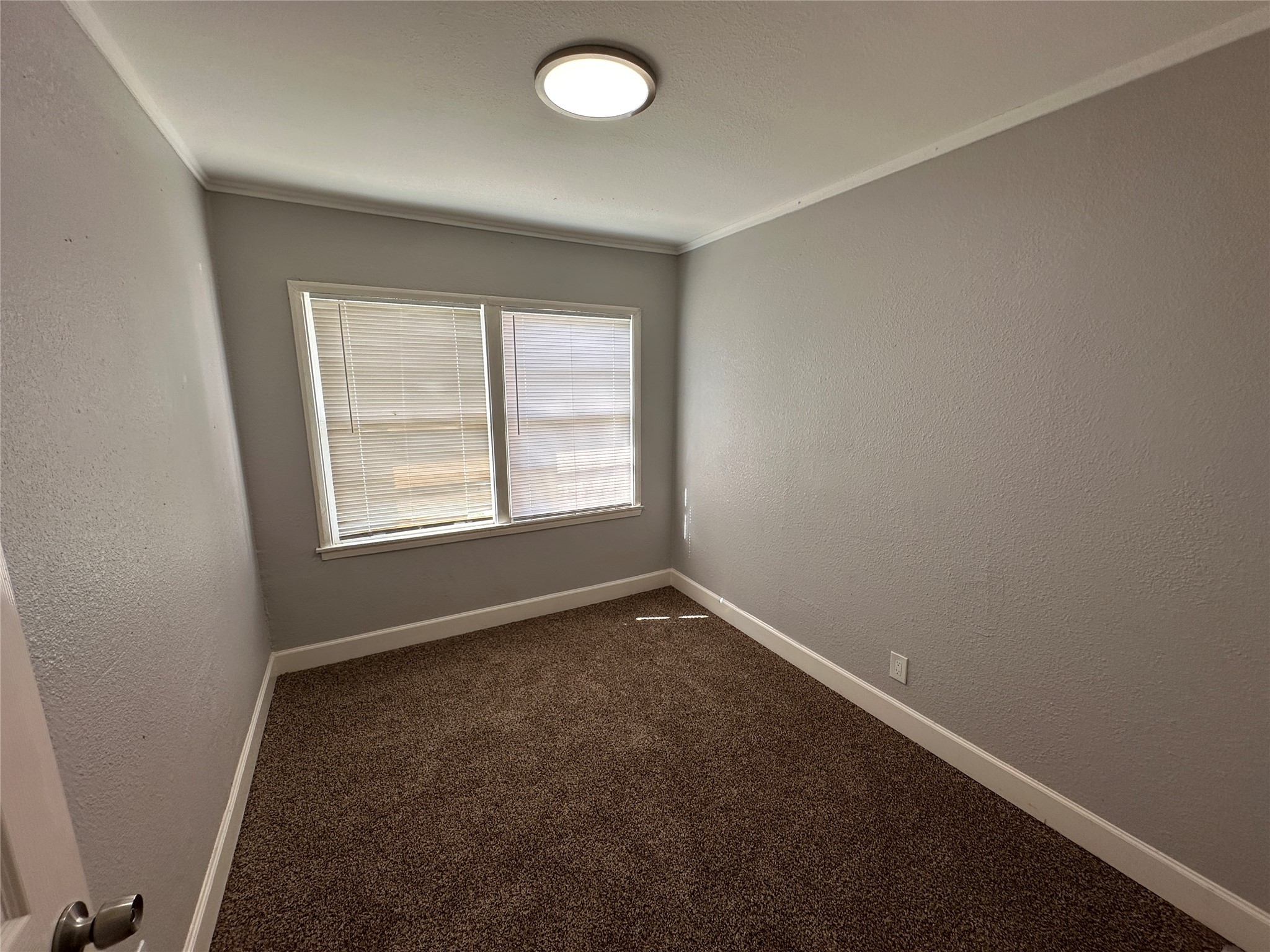 1730 W 8th Street Property Photo 46