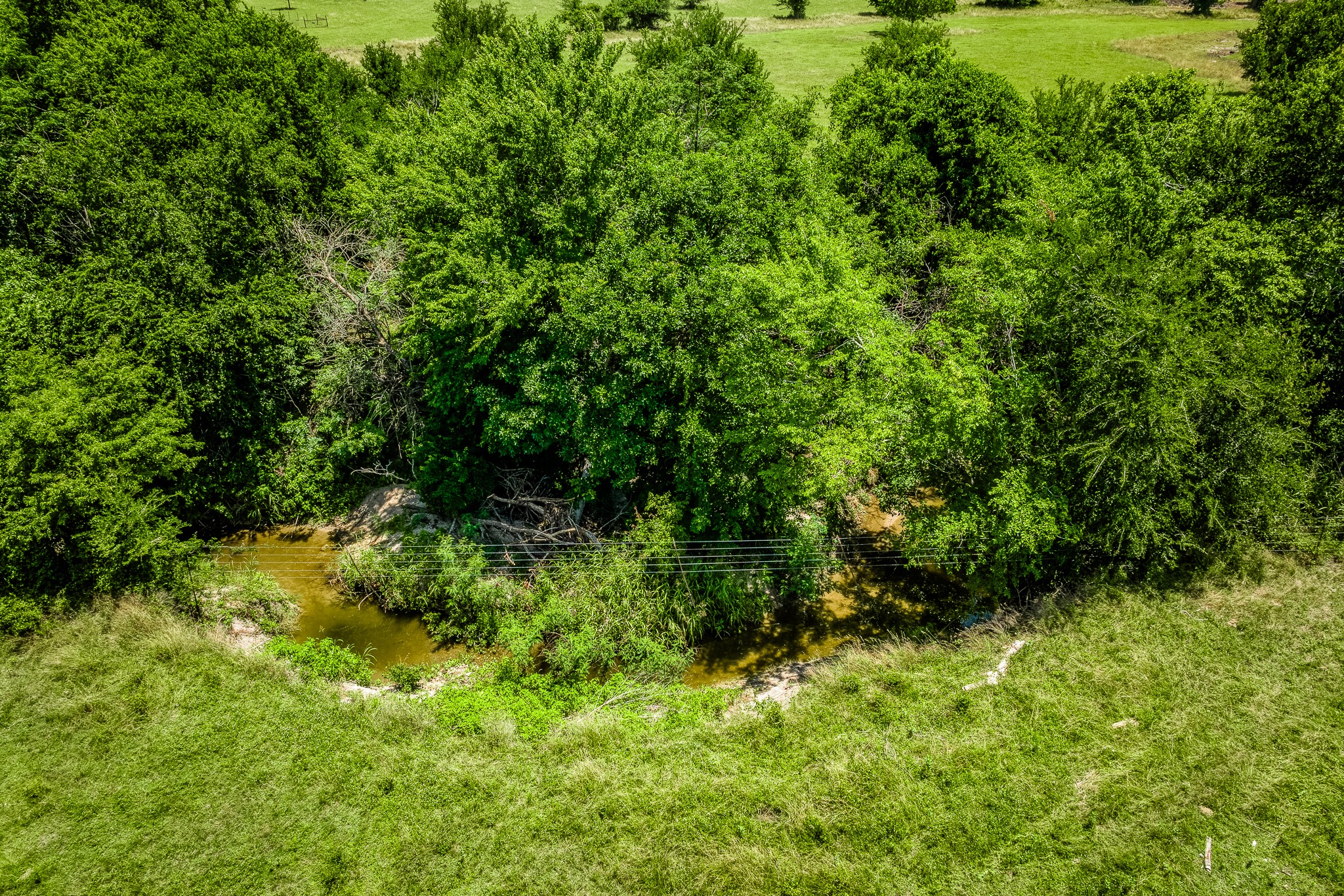 Tbd Fm 2621 Lane Property Photo 2