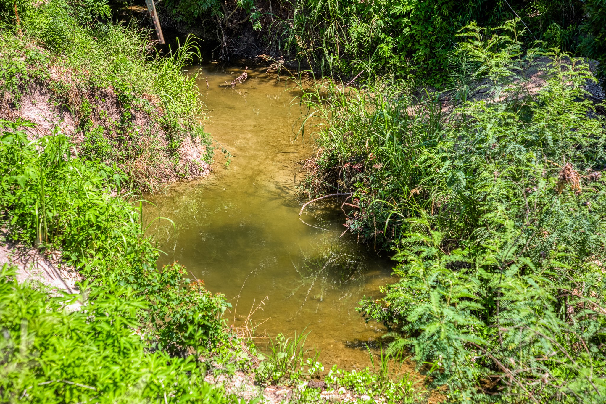 Tbd Fm 2621 Lane Property Photo 3