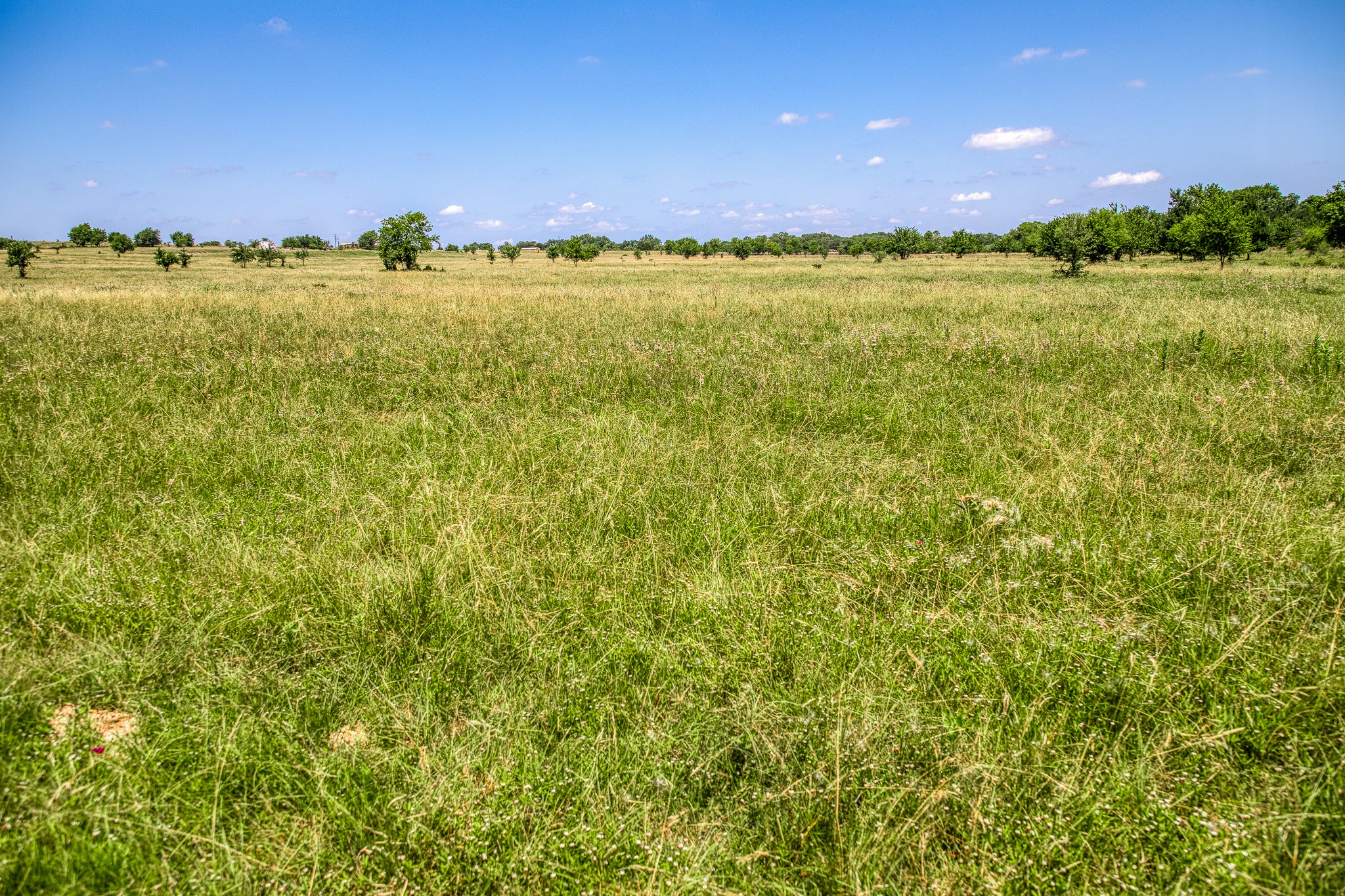 Tbd Fm 2621 Lane Property Photo 4