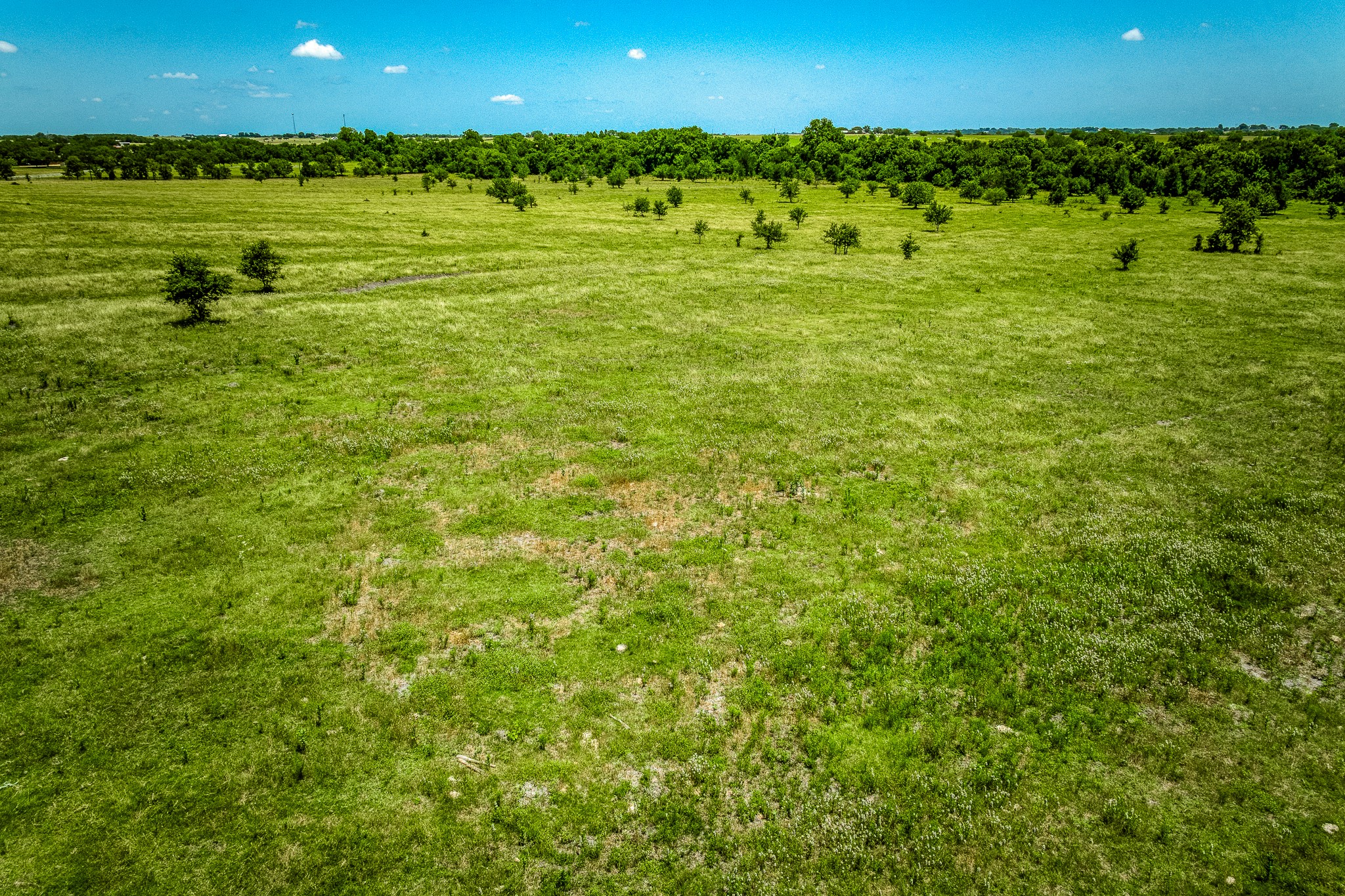 Tbd Fm 2621 Lane Property Photo 5