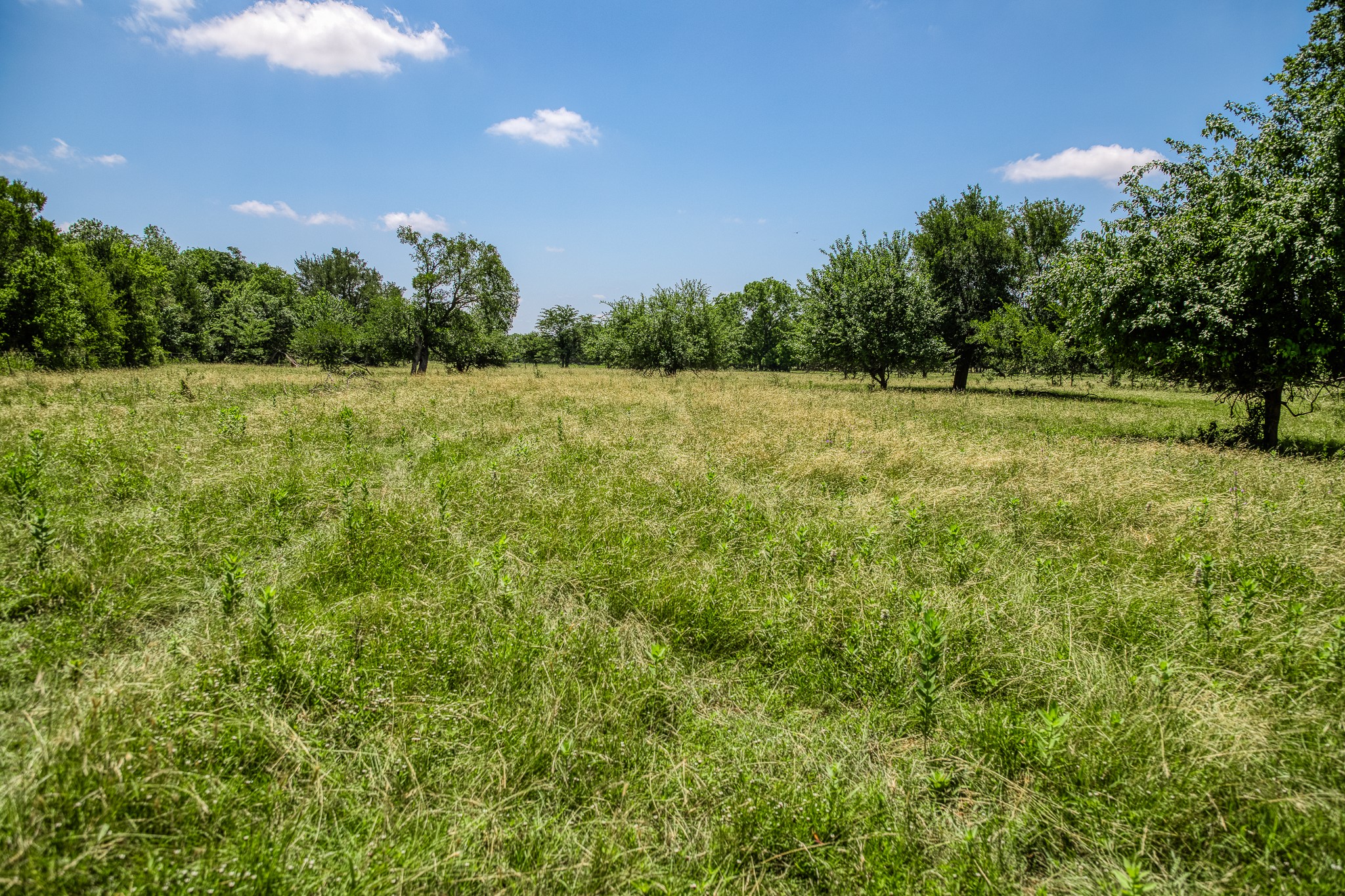 Tbd Fm 2621 Lane Property Photo 7