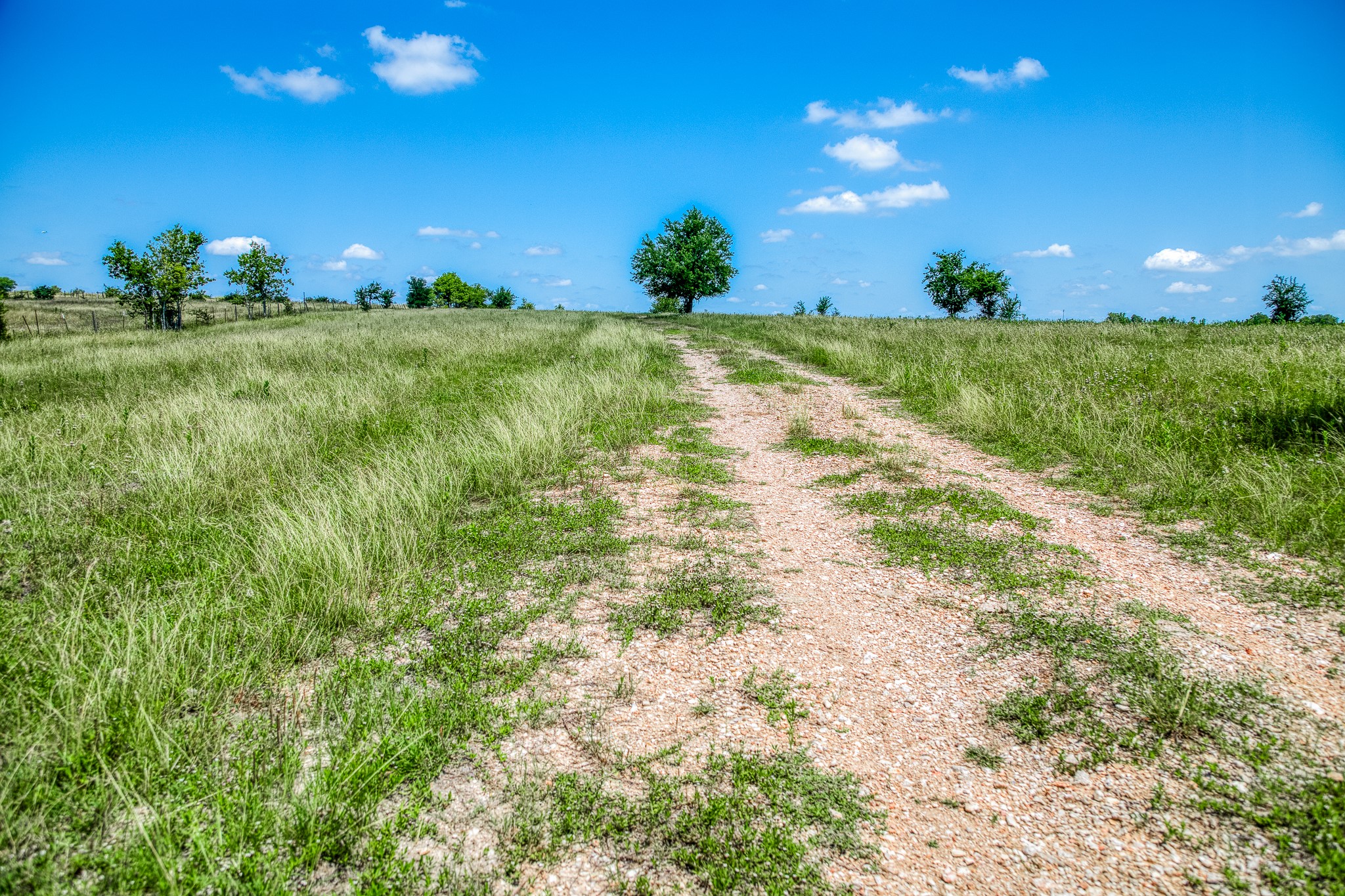 Tbd Fm 2621 Lane Property Photo 9