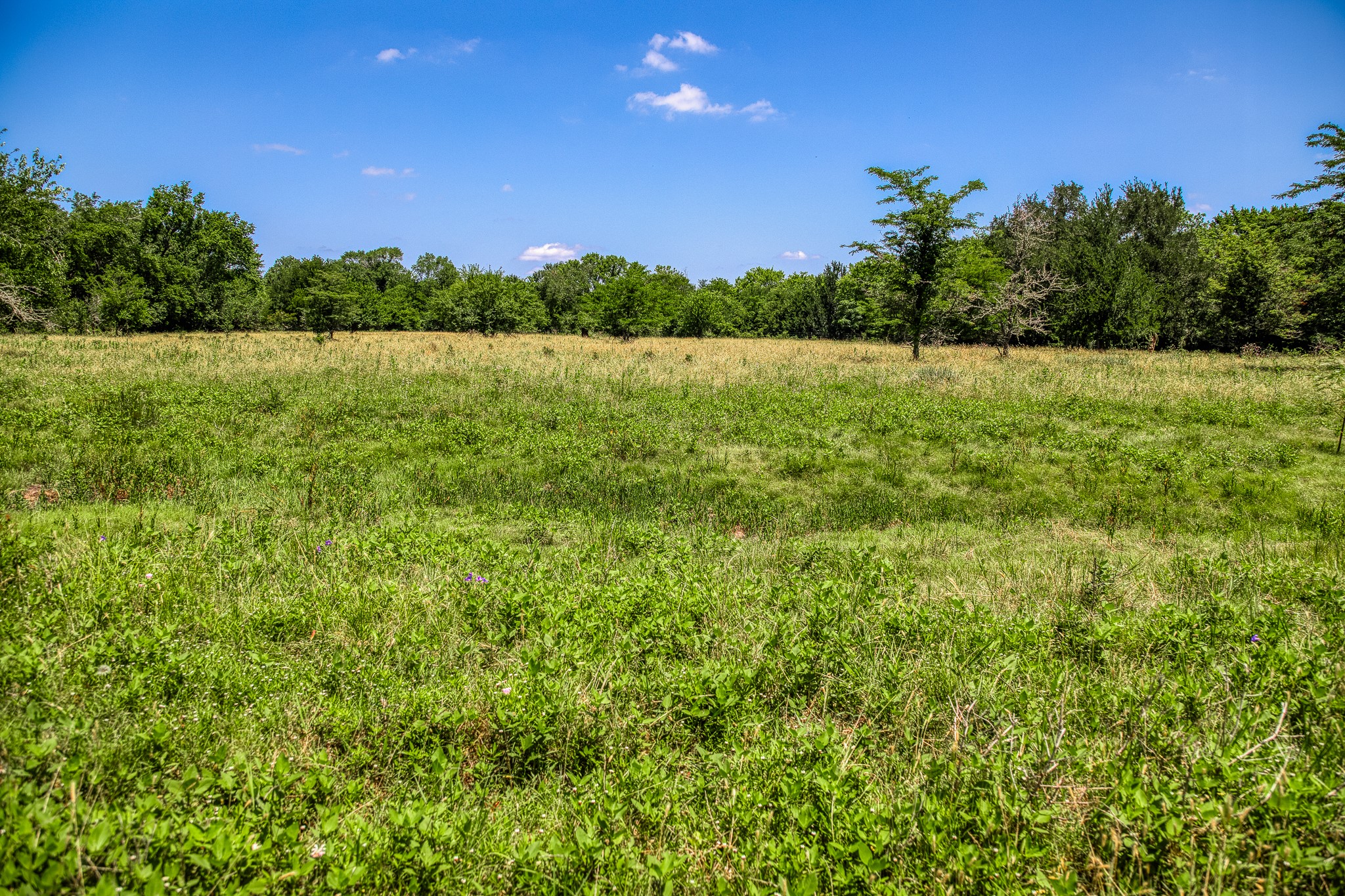 Tbd Fm 2621 Lane Property Photo 16