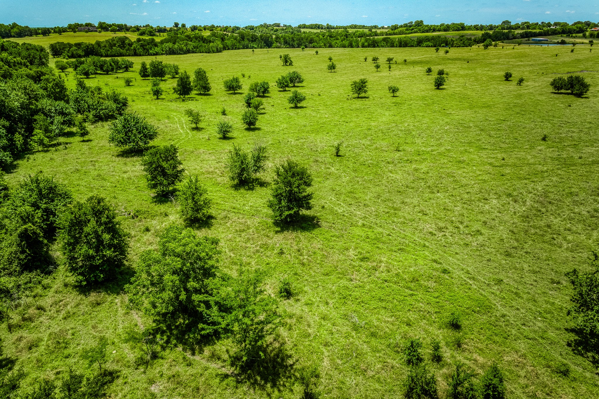 Tbd Fm 2621 Lane Property Photo 17