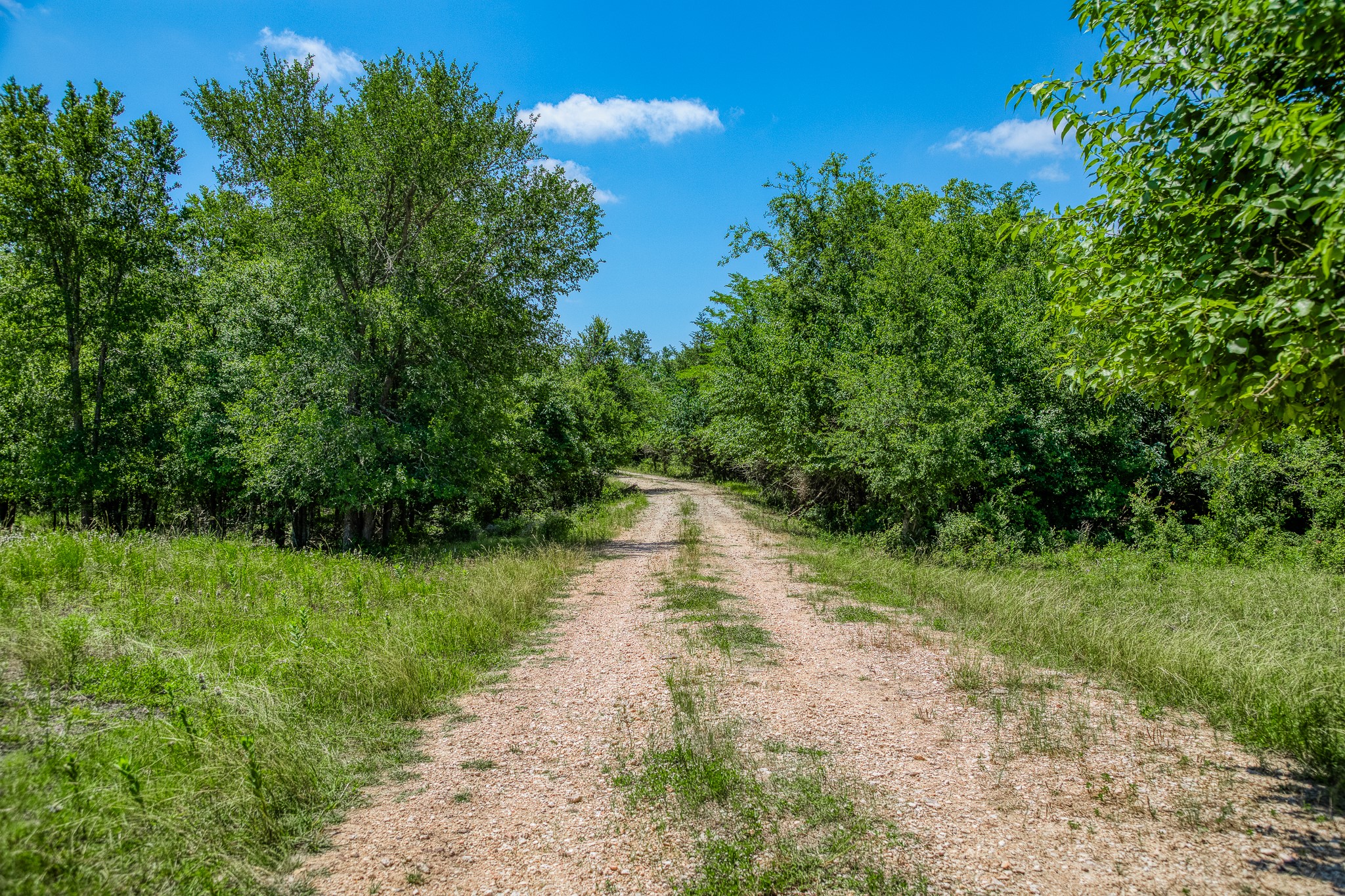 Tbd Fm 2621 Lane Property Photo 19