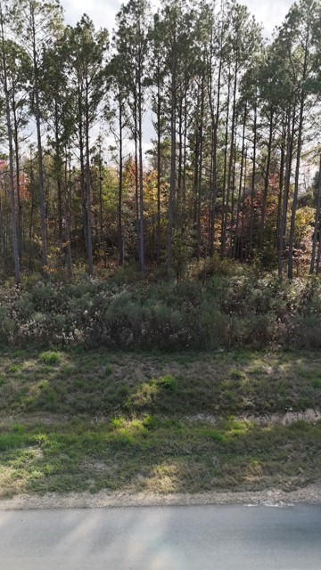2141 Road 660 Property Photo 4