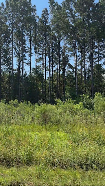 2141 Road 660 Property Photo 6