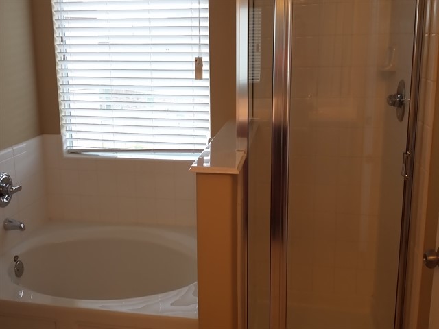 4934 Trailing Clover Court Property Photo 8