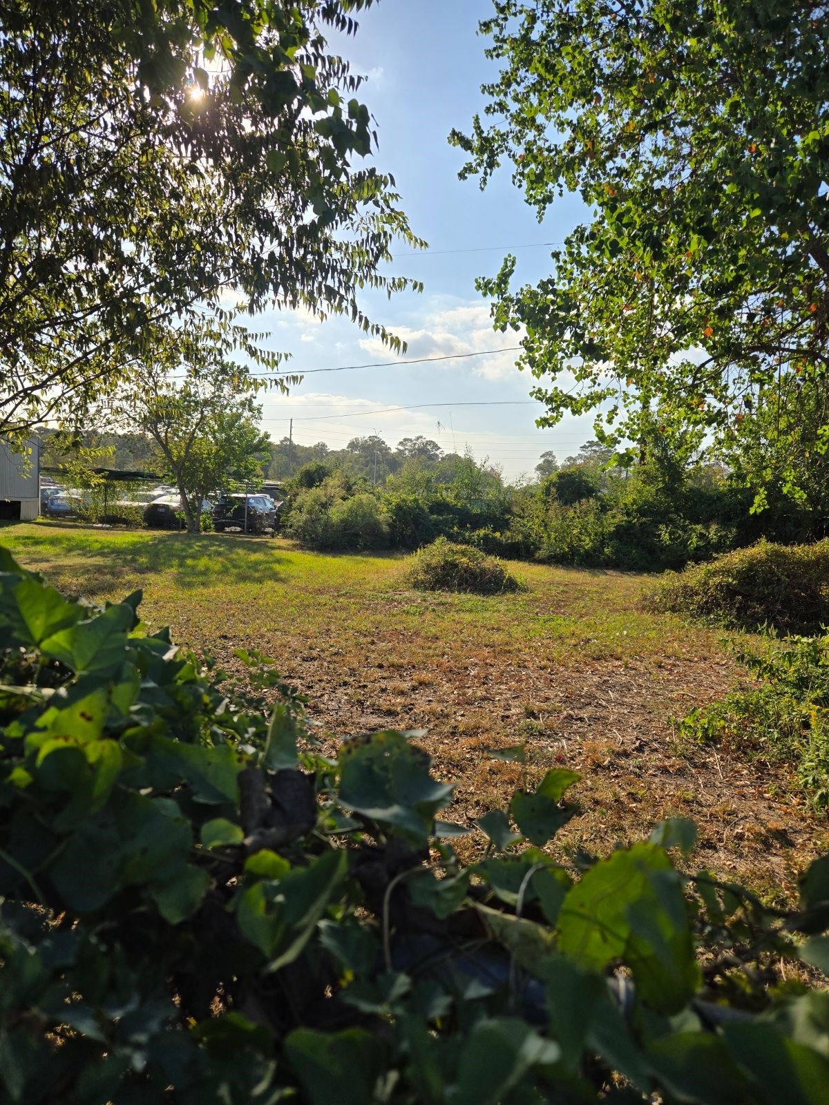 10021 Meadowvine Drive Property Photo 3