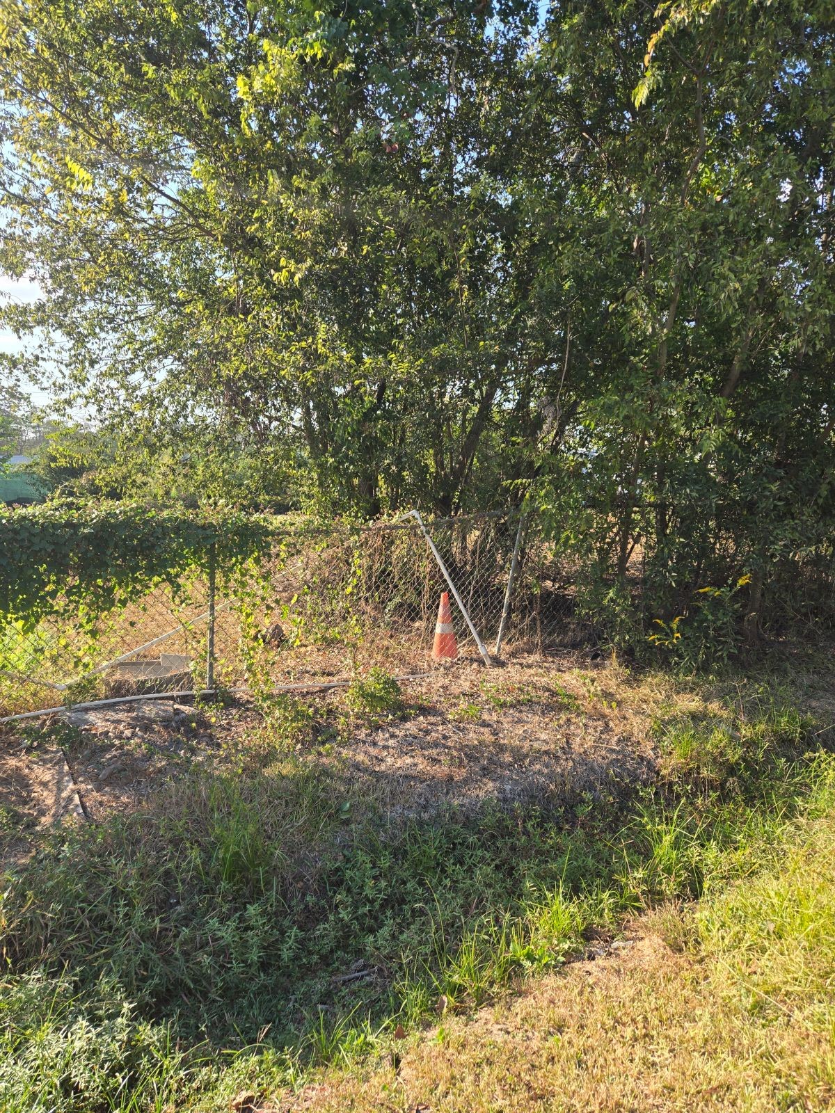 10021 Meadowvine Drive Property Photo 5