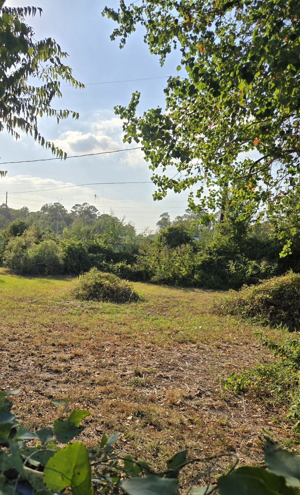 10021 Meadowvine Drive Property Photo 6