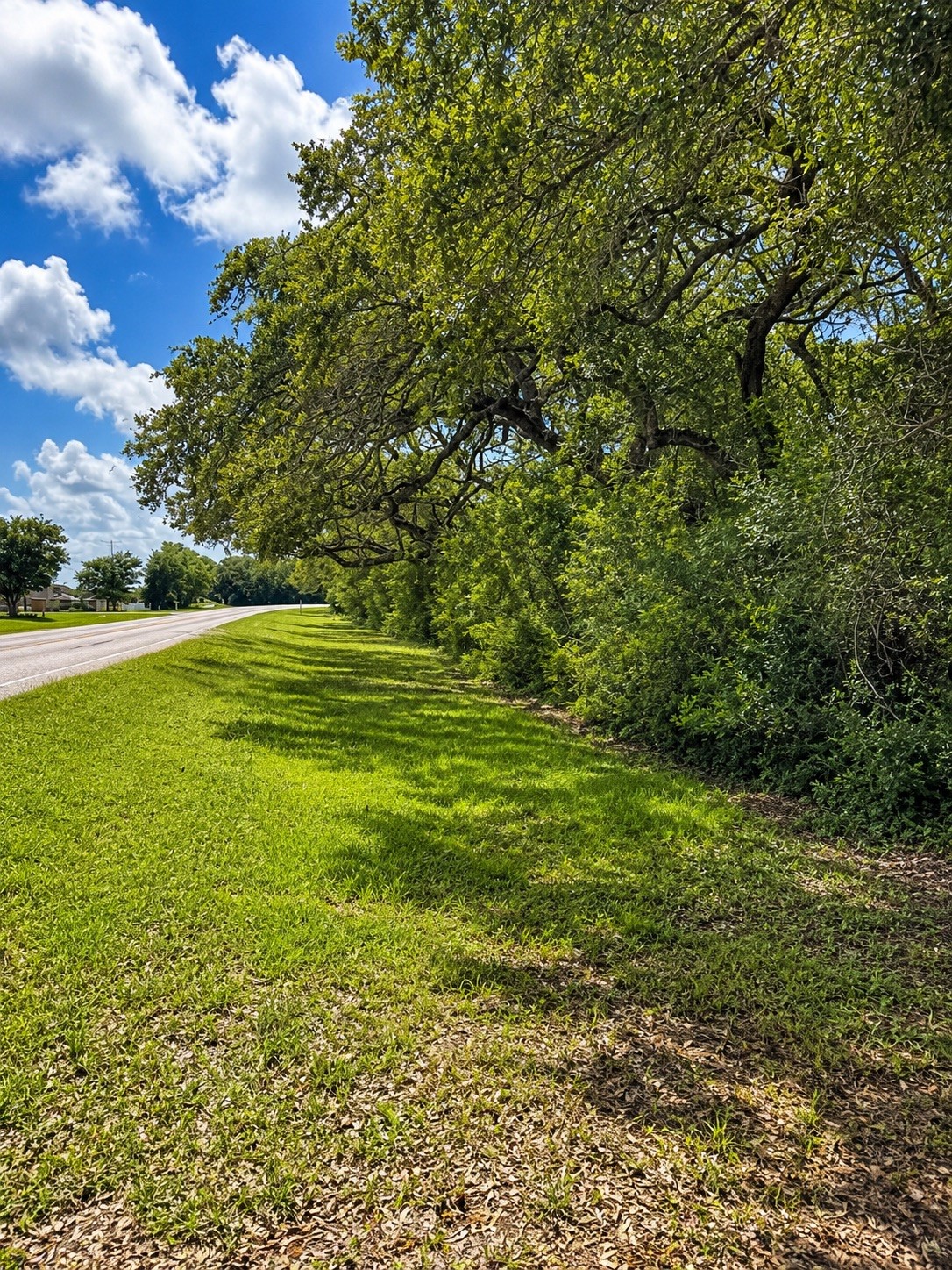 0 Fm 2853 Perry Reed Pybus Pasture Property Photo