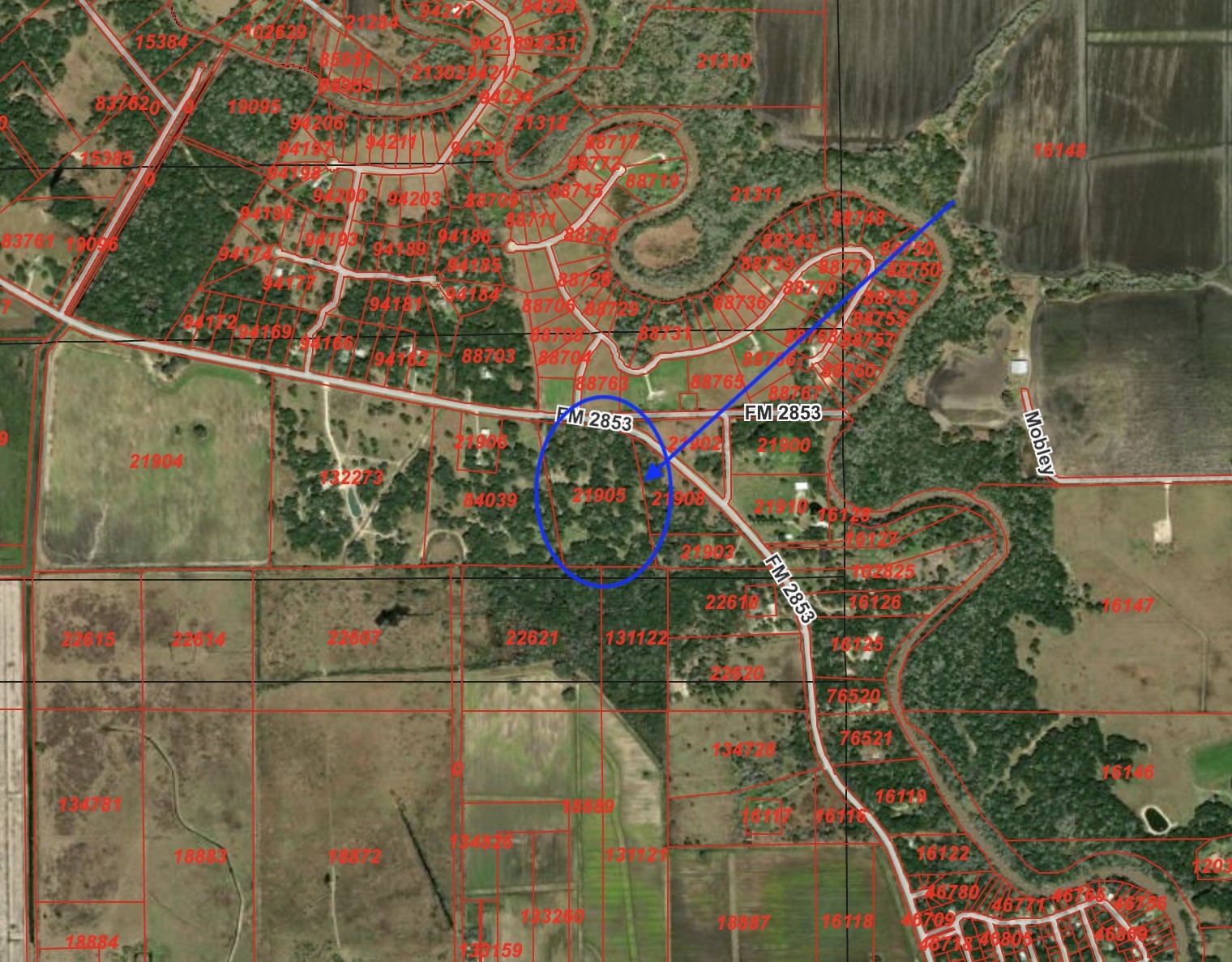 0 Fm 2853 Perry Reed Pybus Pasture Property Photo 7