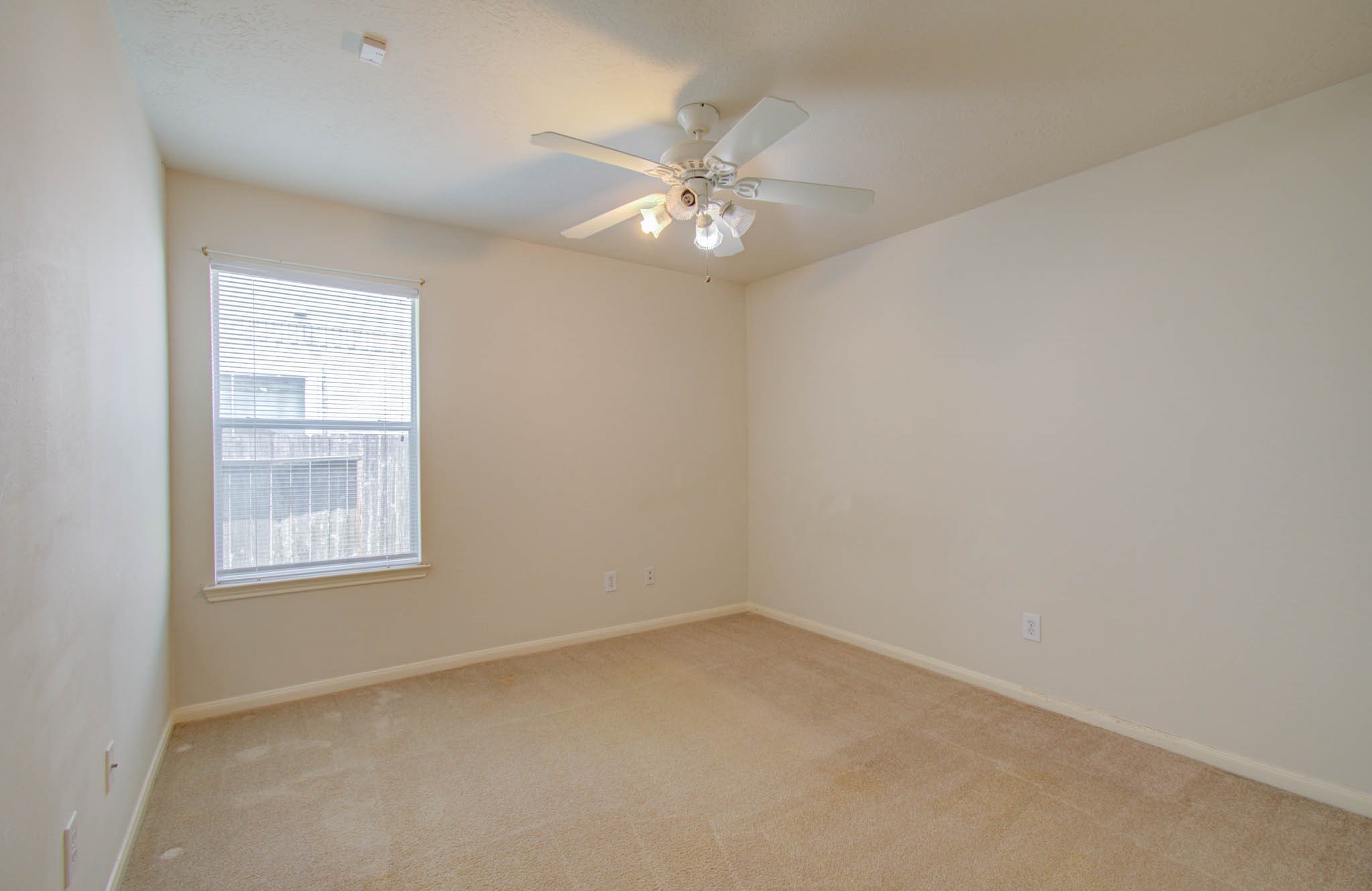 1519 Mustang Xing Property Photo 26