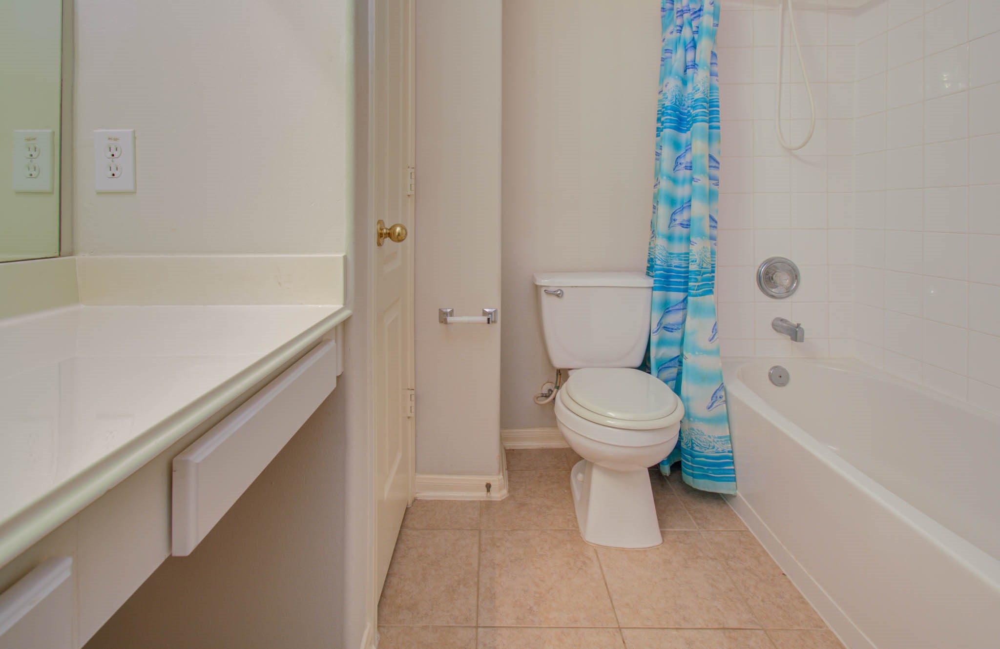 1519 Mustang Xing Property Photo 31