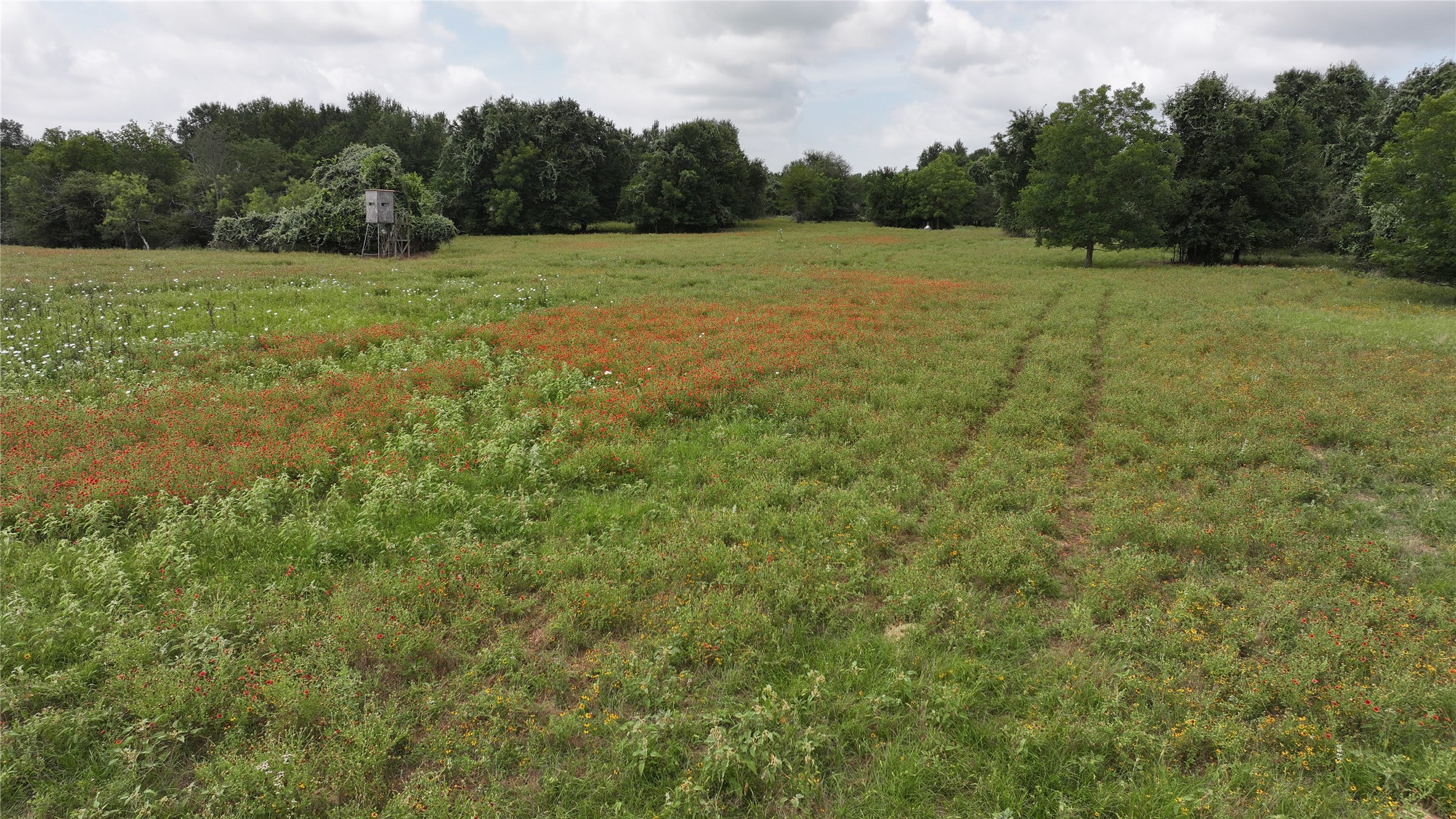 Tbd Rose Hill Rd / Pleasant Rd Property Photo 3