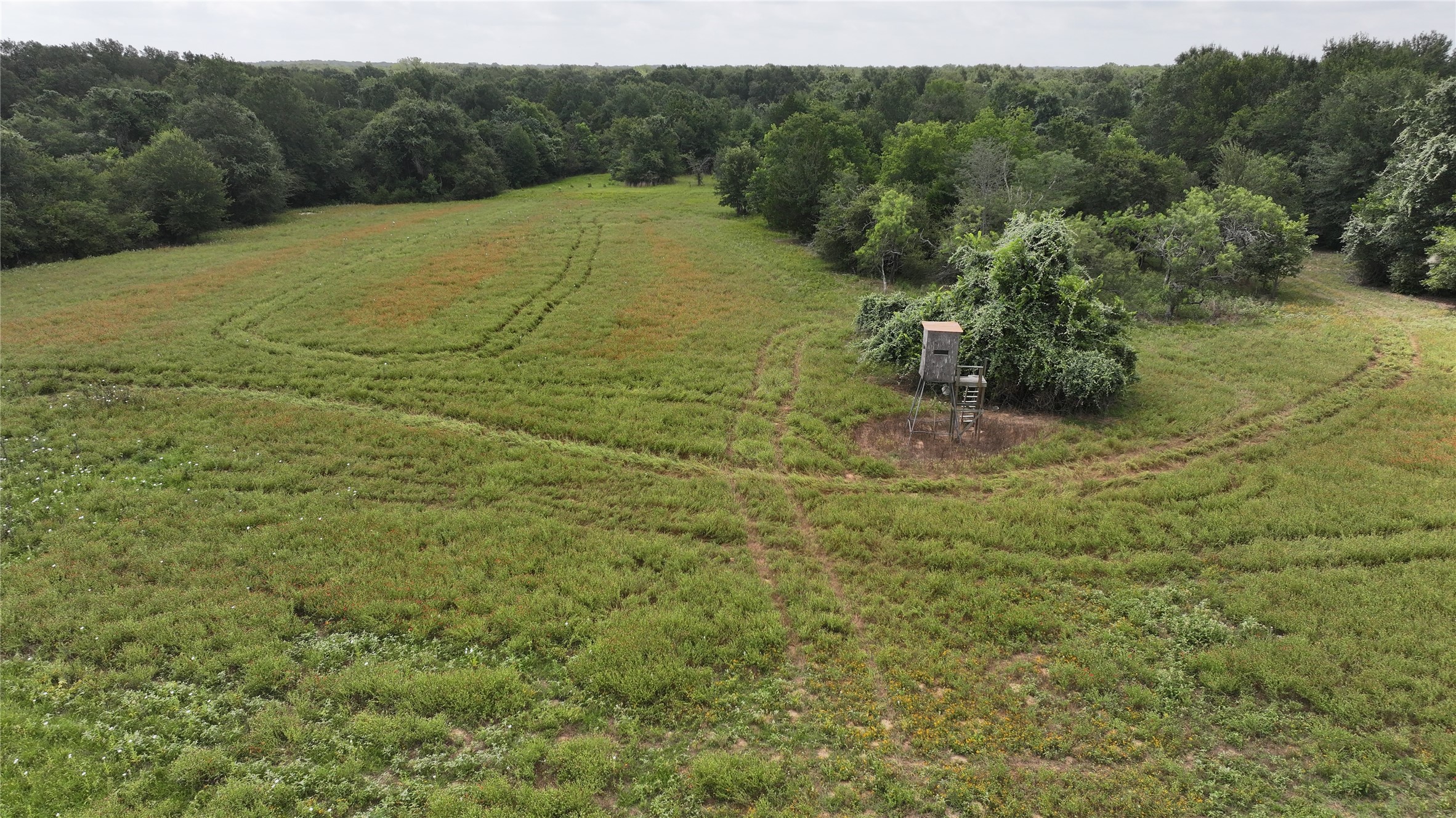 Tbd Rose Hill Rd / Pleasant Rd Property Photo 4