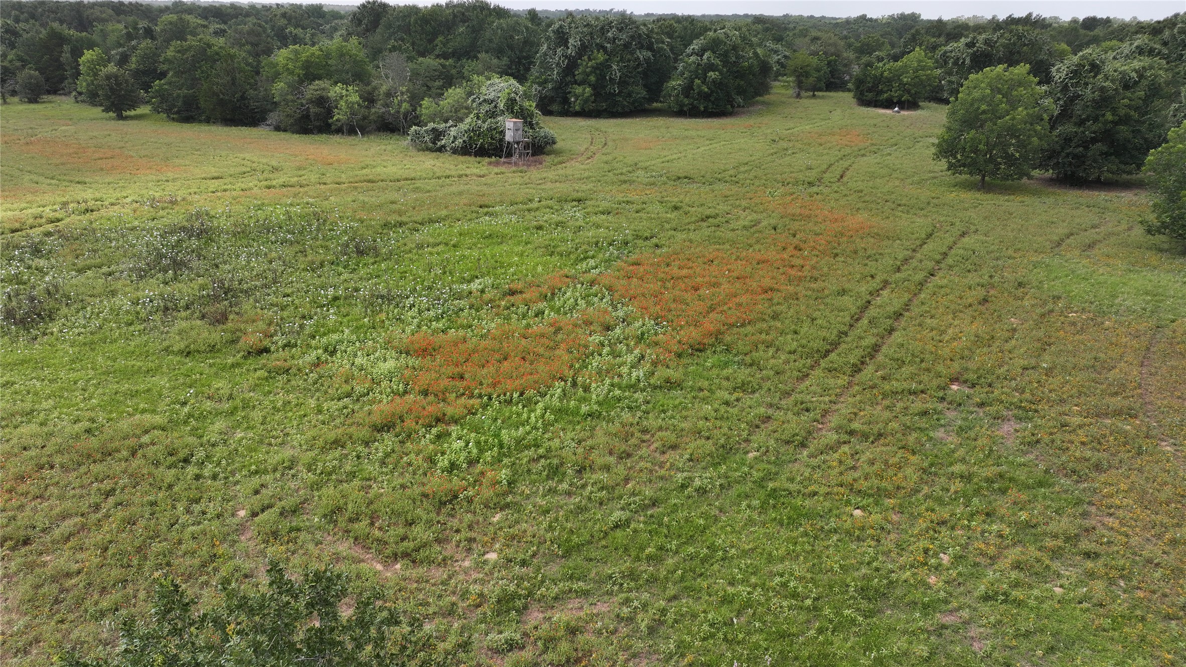 Tbd Rose Hill Rd / Pleasant Rd Property Photo 7