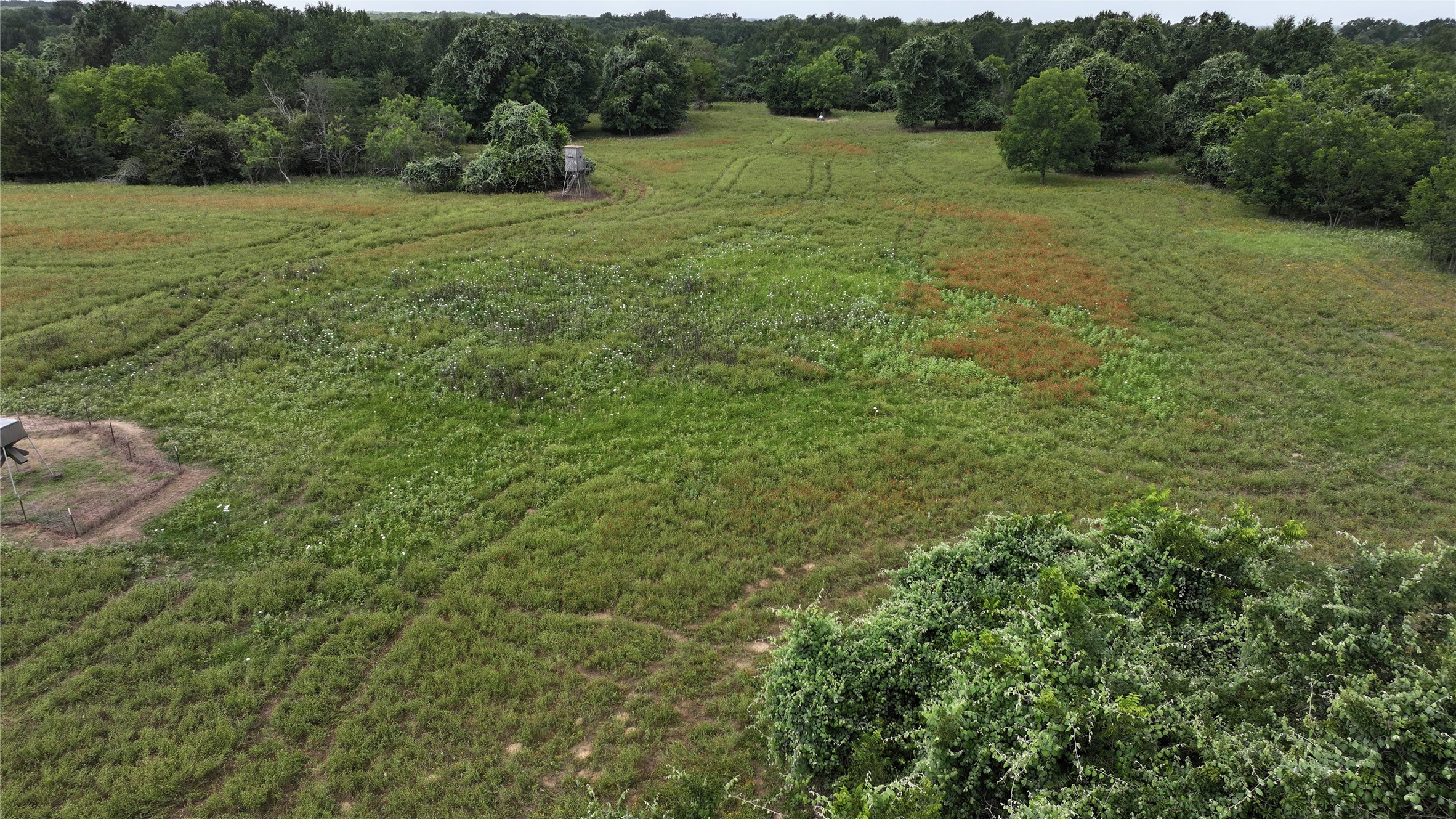 Tbd Rose Hill Rd / Pleasant Rd Property Photo 8