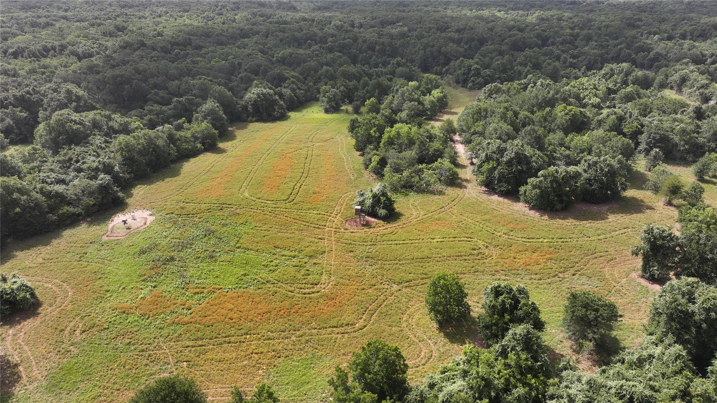 Tbd Rose Hill Rd / Pleasant Rd Property Photo 11
