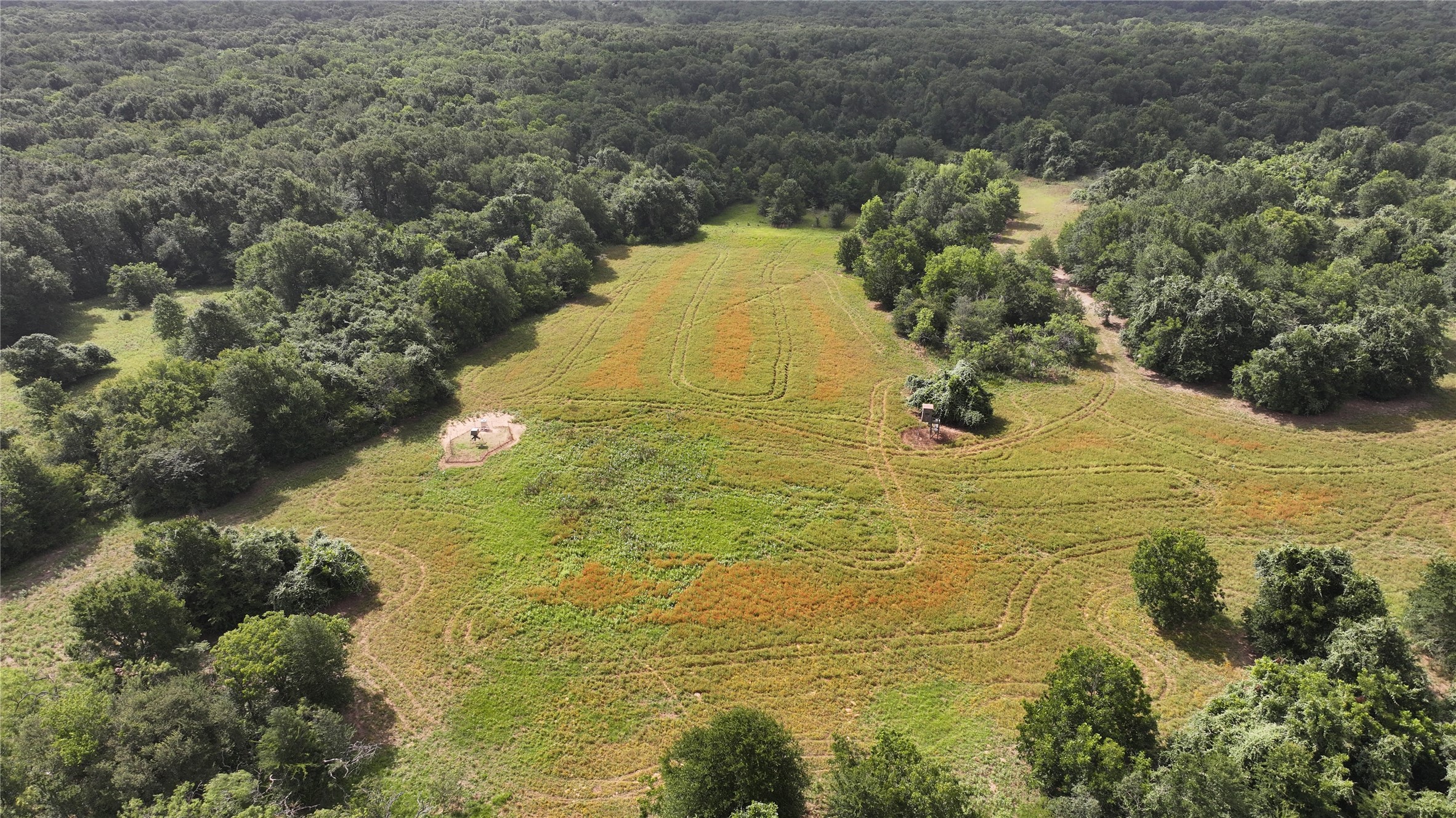 Tbd Rose Hill Rd / Pleasant Rd Property Photo 12