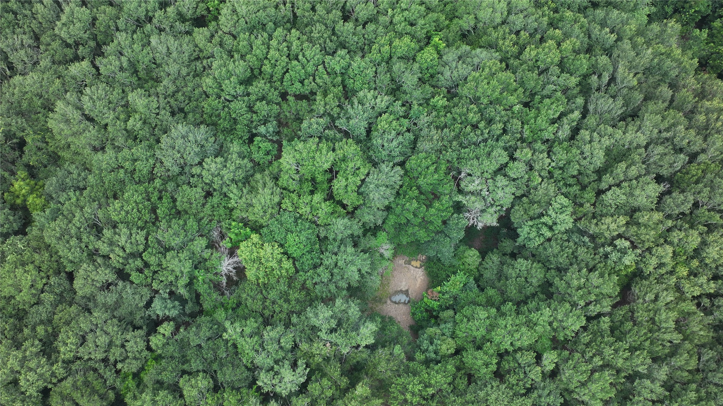 Tbd Rose Hill Rd / Pleasant Rd Property Photo 18