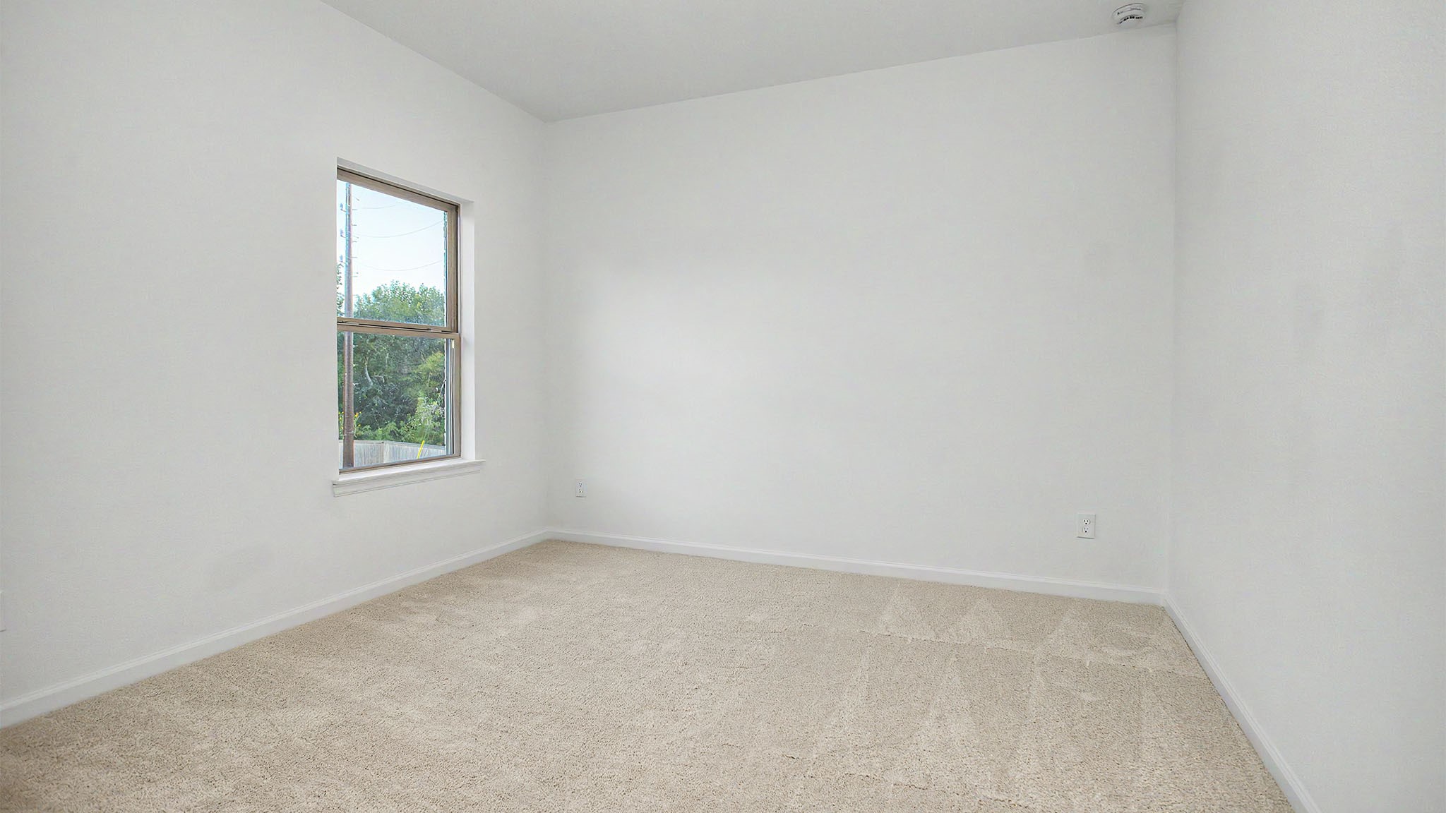 10303 Melida Dawn Way Property Photo 11