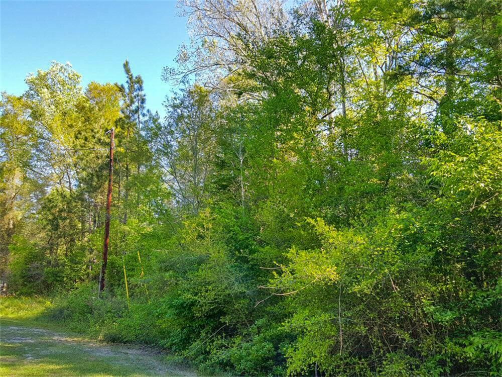 Tbd Borger Property Photo 2