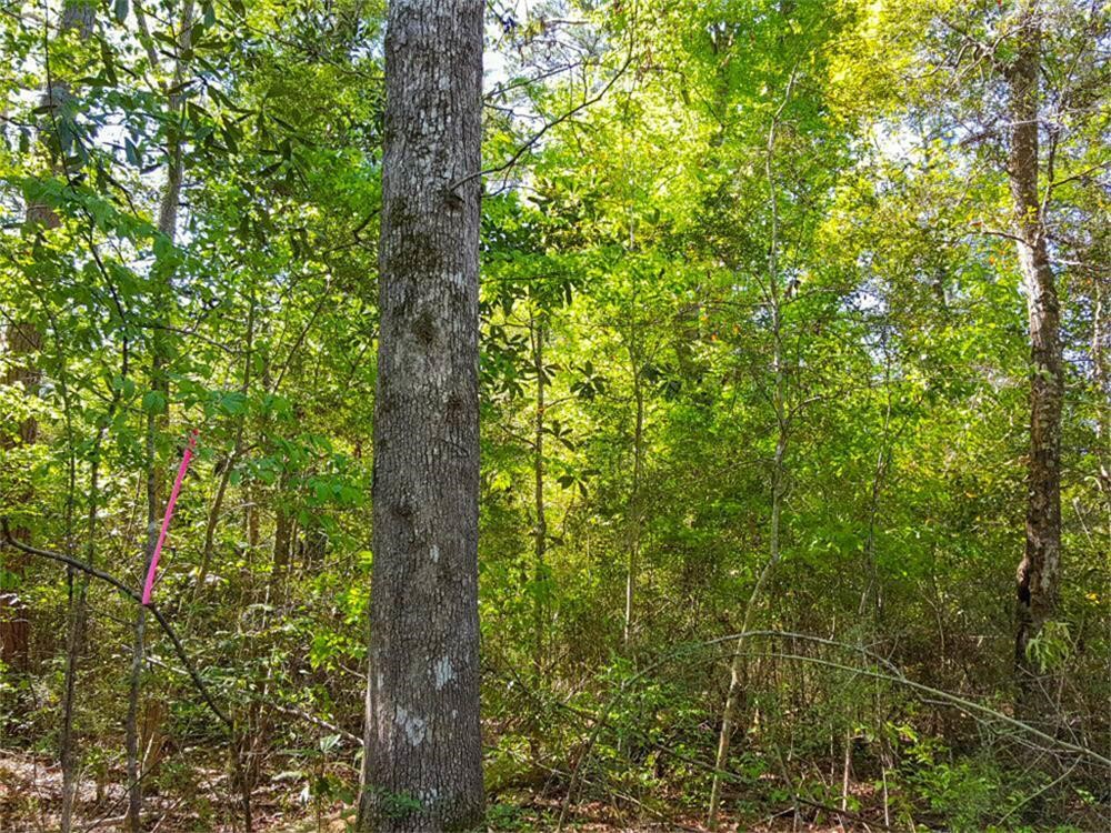 Tbd Borger Property Photo 3