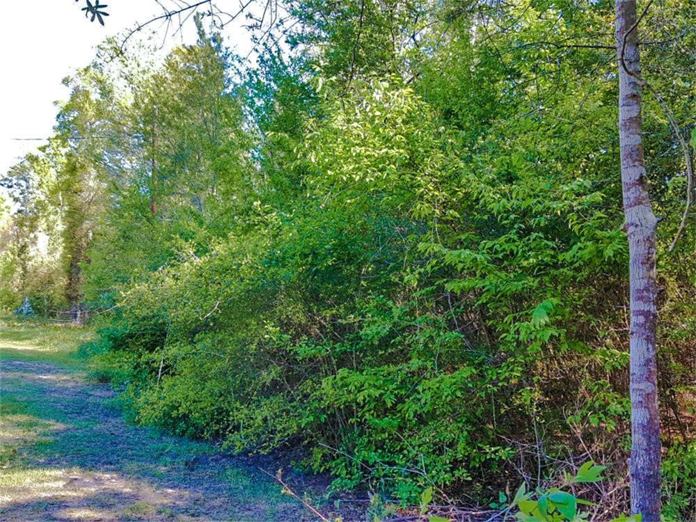 Tbd Borger Property Photo 6