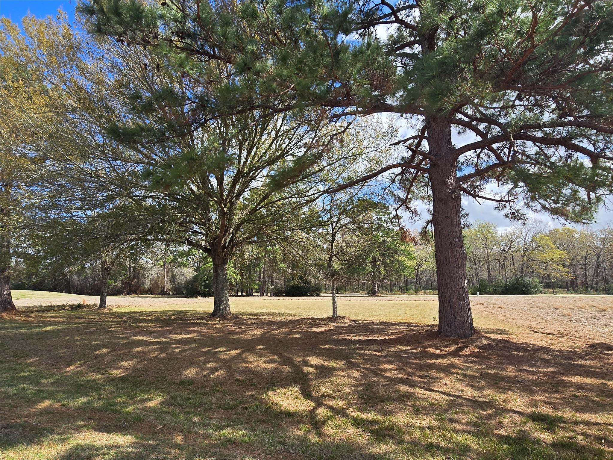 TBD New Orleans Avenue, Trinity TX 75862 Property Photo 1